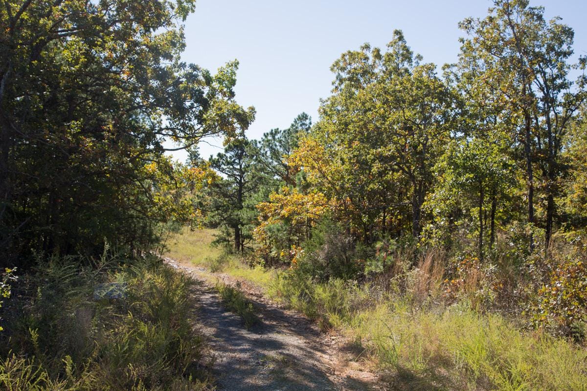 Stone Creek Phase I Tract 164 photo 19
