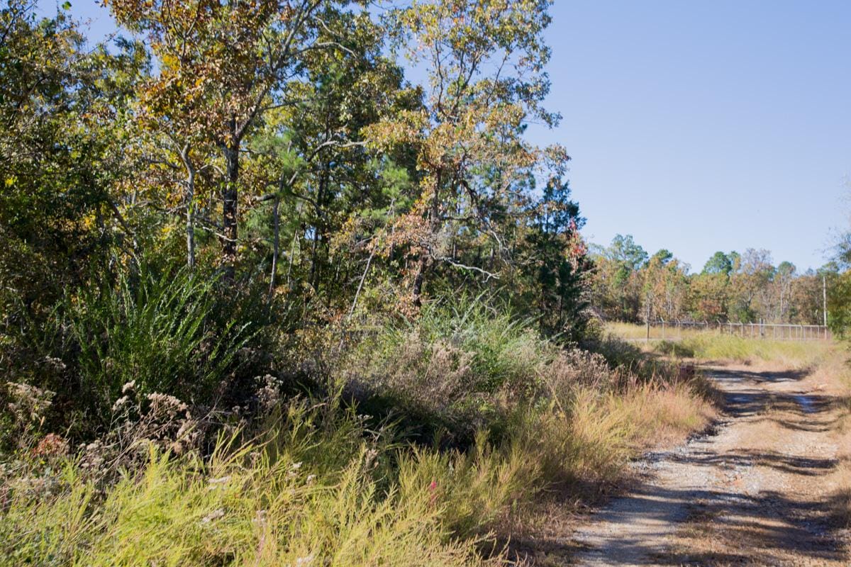 Stone Creek Phase I Tract 164 photo 21