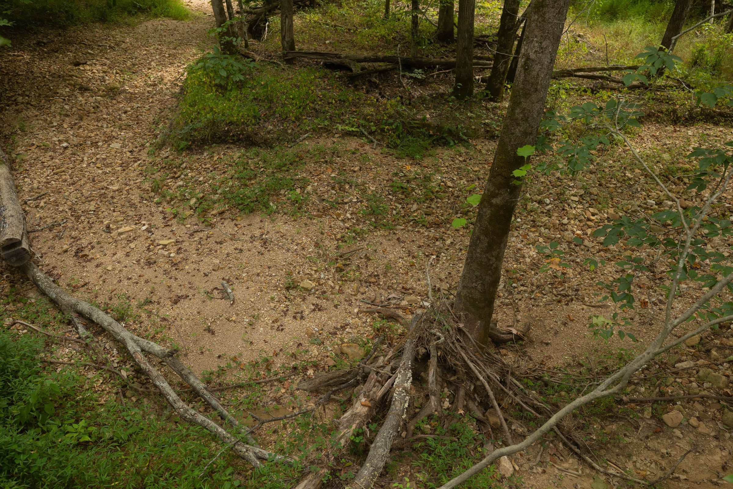 Big White Oak Tract 140 photo 14