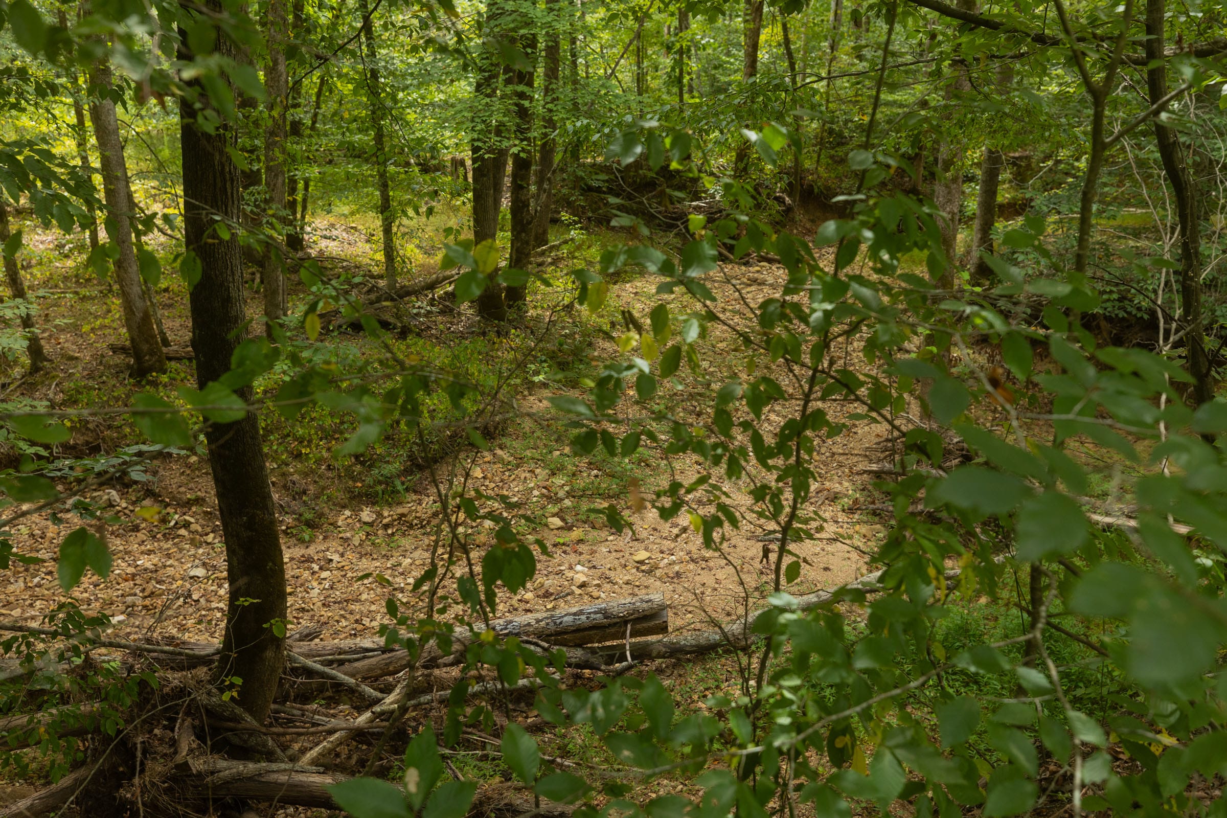 Big White Oak Tract 140 photo 13