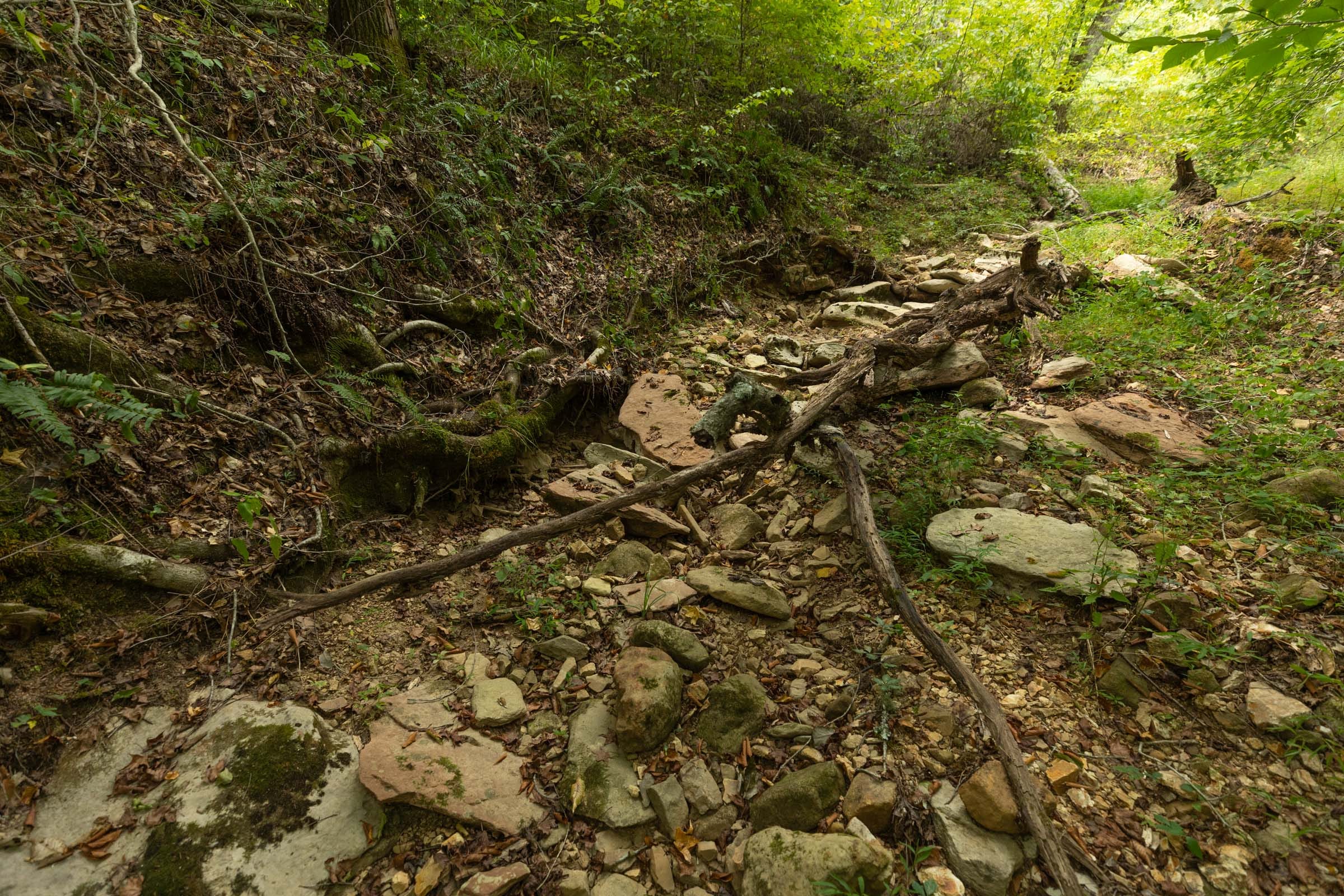 Big White Oak Tract 140 photo 8