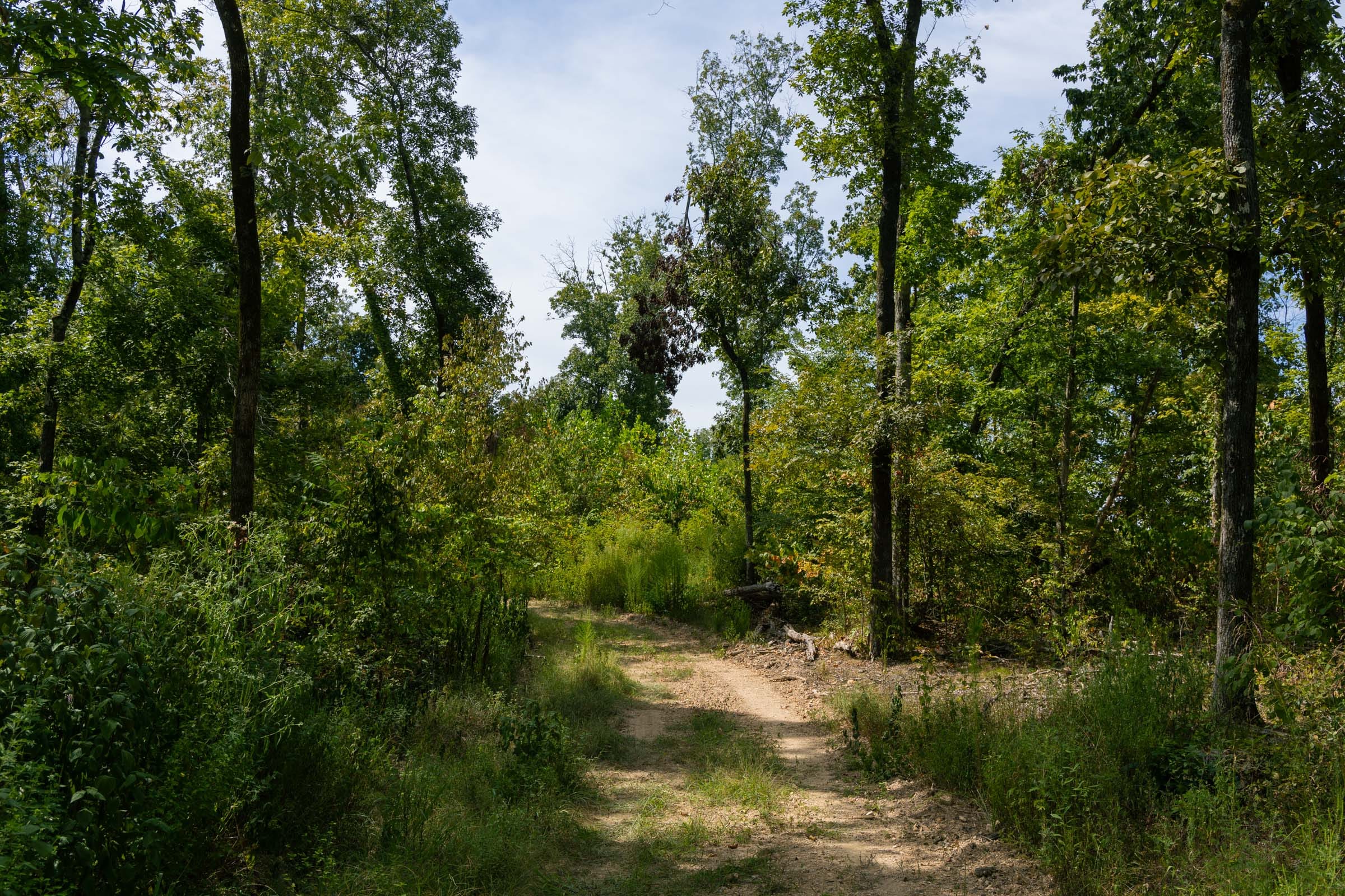 Big White Oak Tract 140 photo 6