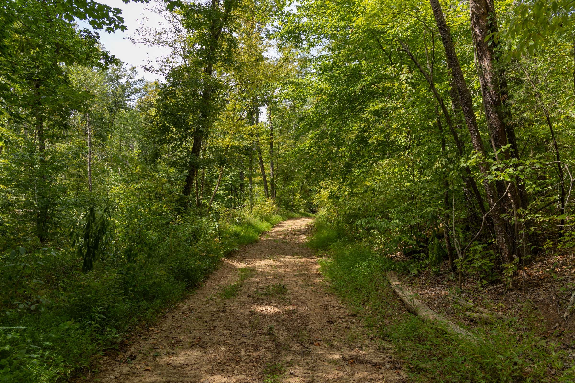 Big White Oak Tract 140 photo 12