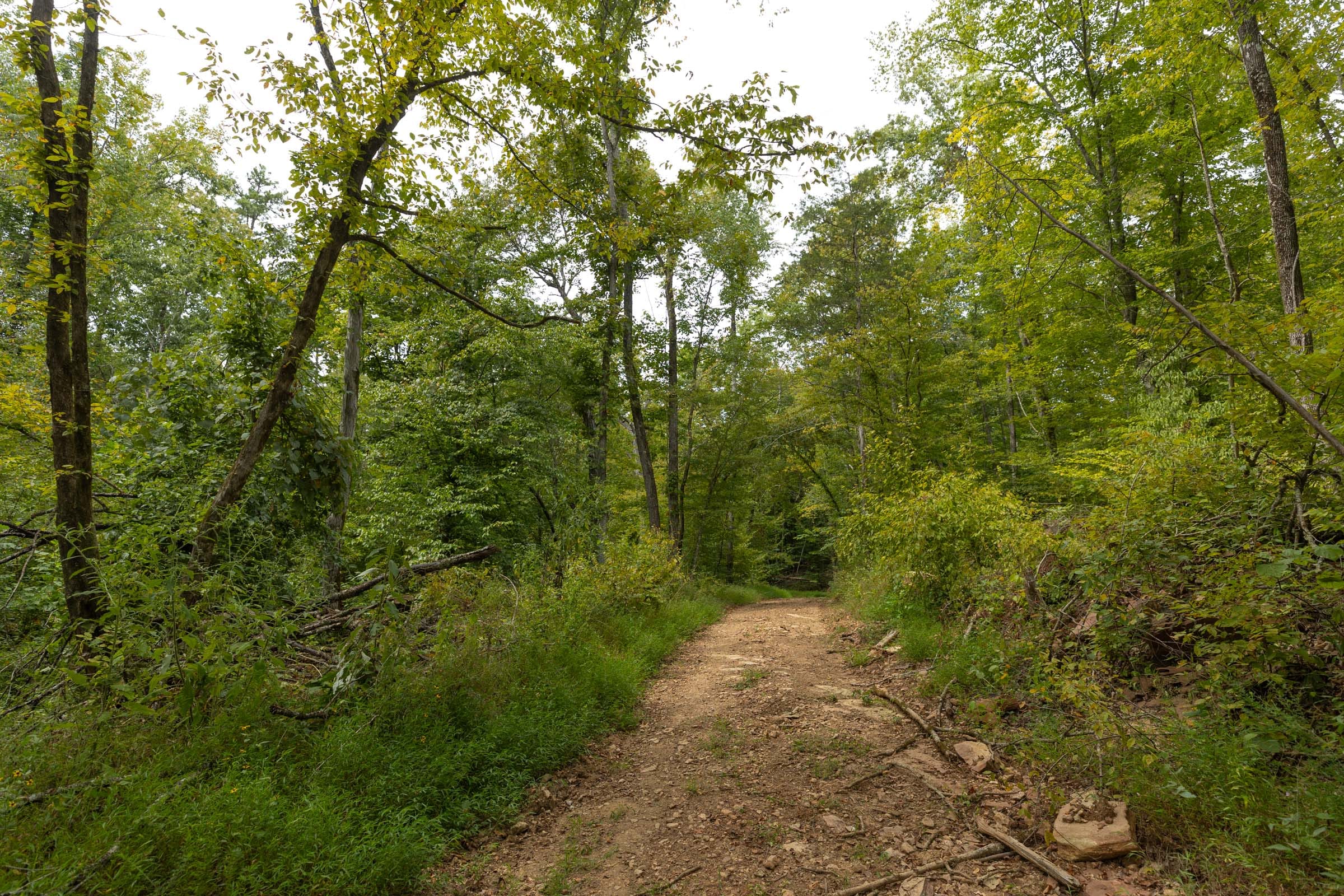 Big White Oak Tract 140 photo 5