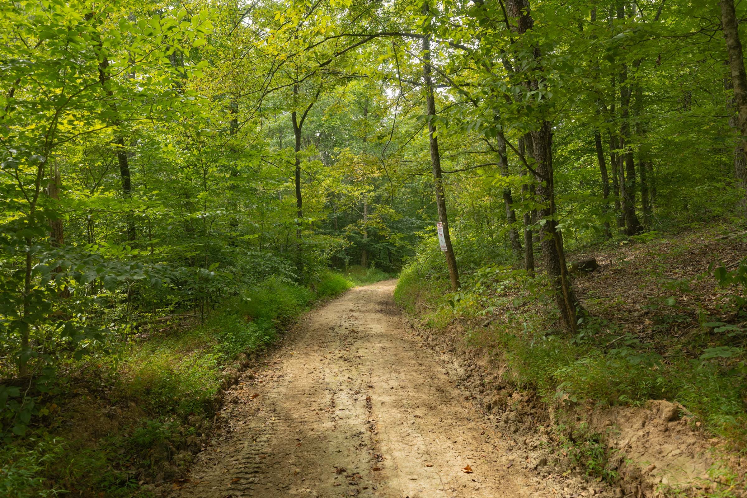 Big White Oak Tract 140 photo 1