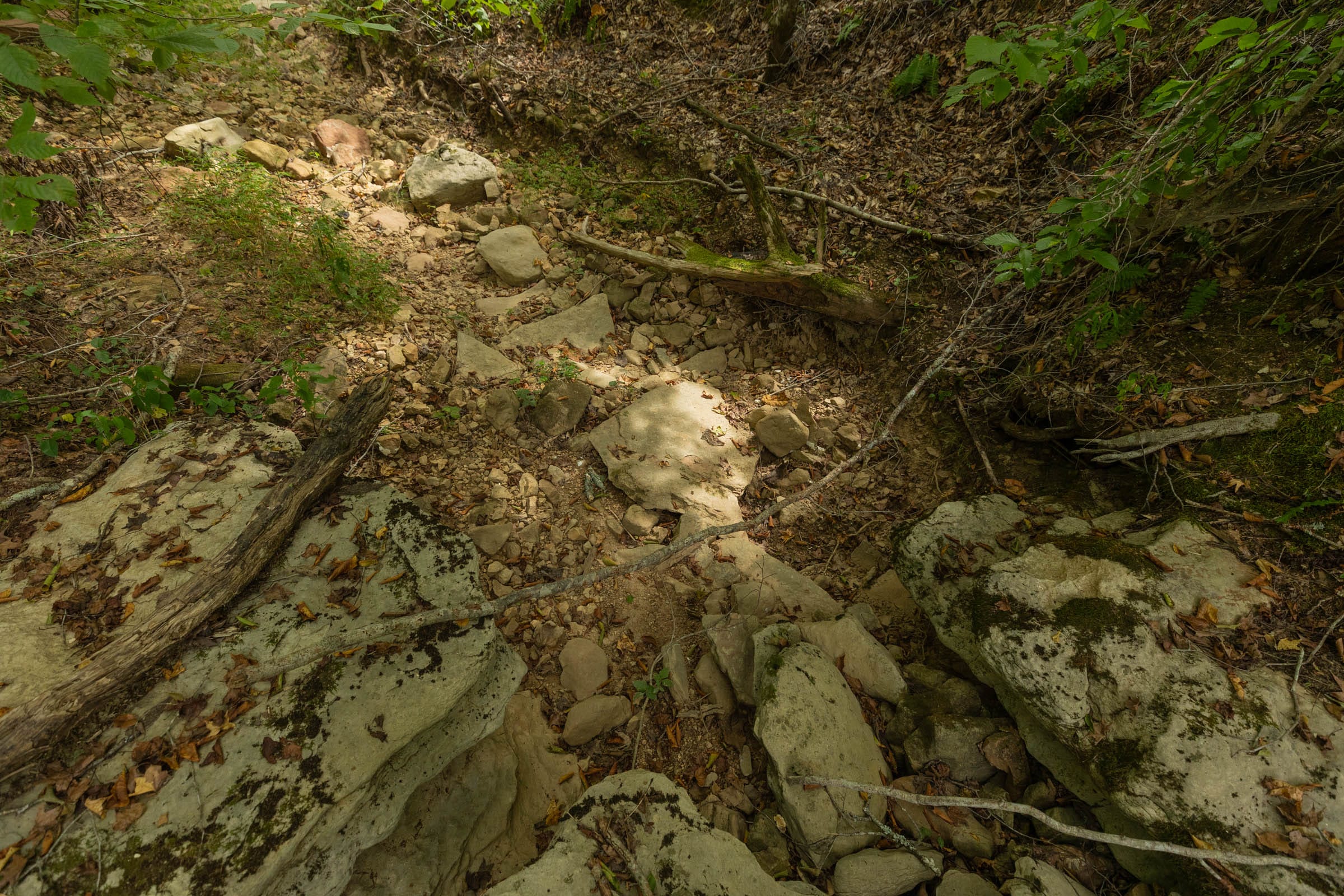 Big White Oak Tract 140 photo 4
