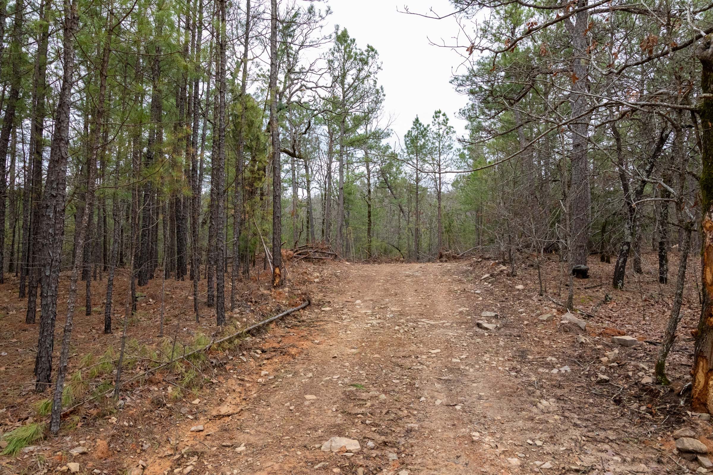 Stone Bridge Phase III Tract 208 photo 2