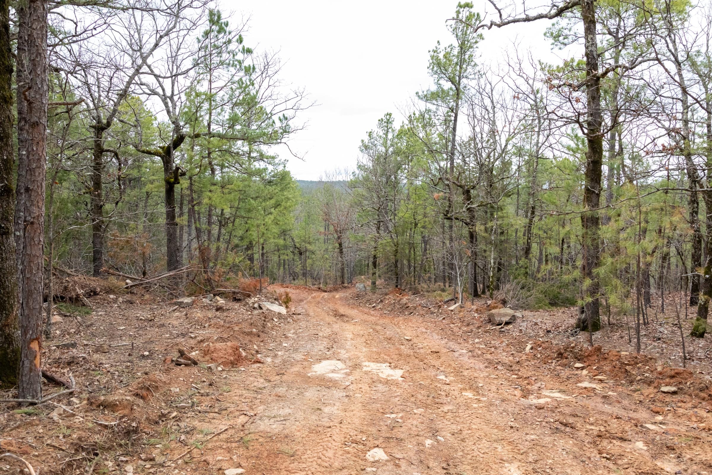 Stone Bridge Phase III Tract 208 photo 3