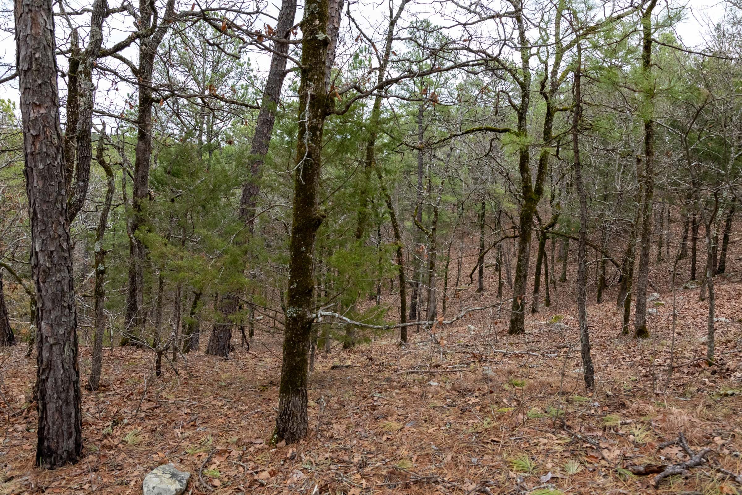 Stone Bridge Phase III Tract 208 photo 8