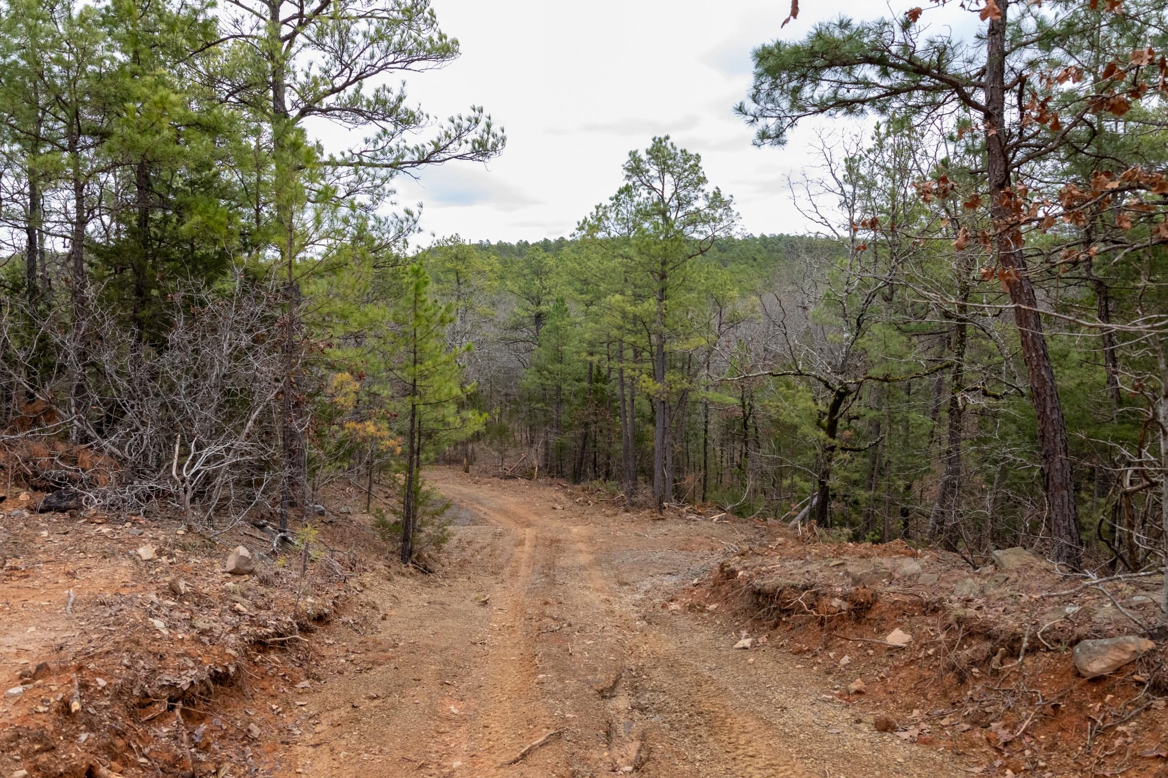 Stone Bridge Phase III Tract 208 photo 10