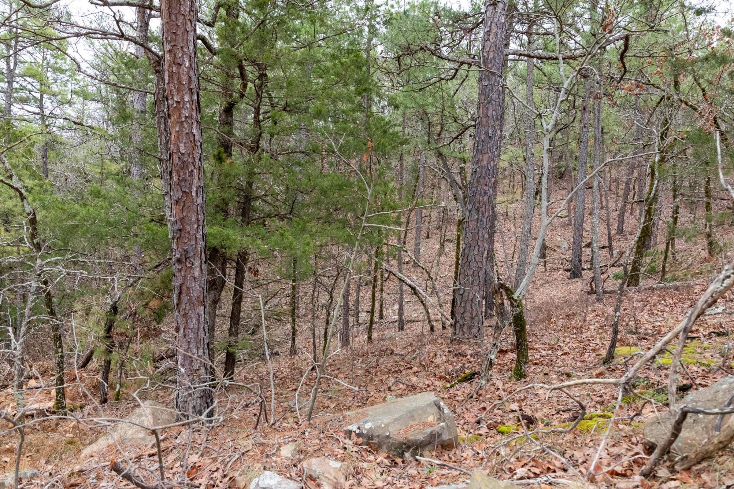 Stone Bridge Phase III Tract 208 photo 11