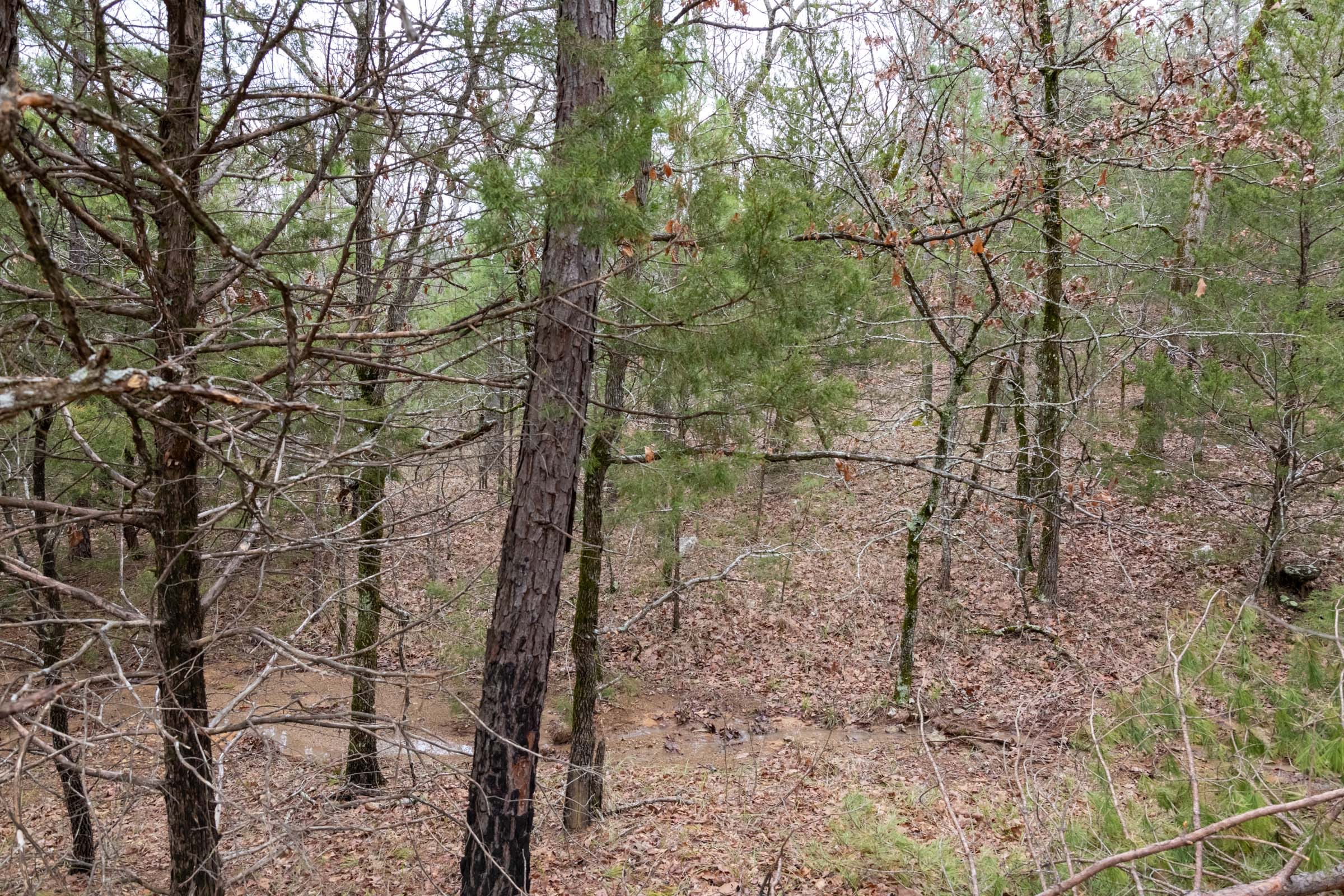 Stone Bridge Phase III Tract 208 photo 12