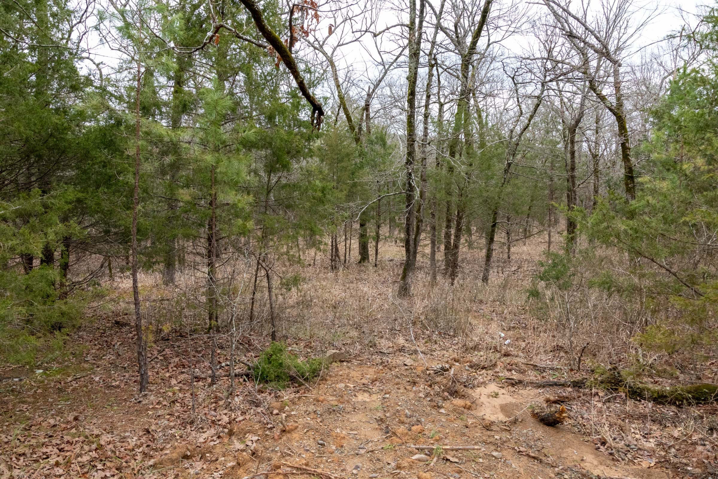 Stone Bridge Phase III Tract 208 photo 13