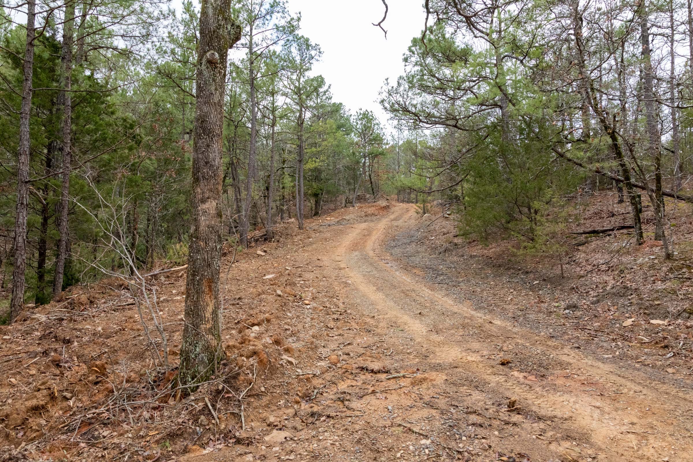 Stone Bridge Phase III Tract 208 photo 14