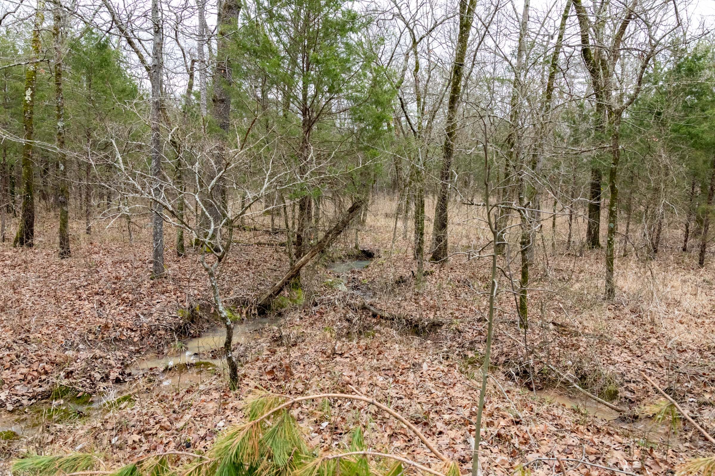 Stone Bridge Phase III Tract 208 photo 16
