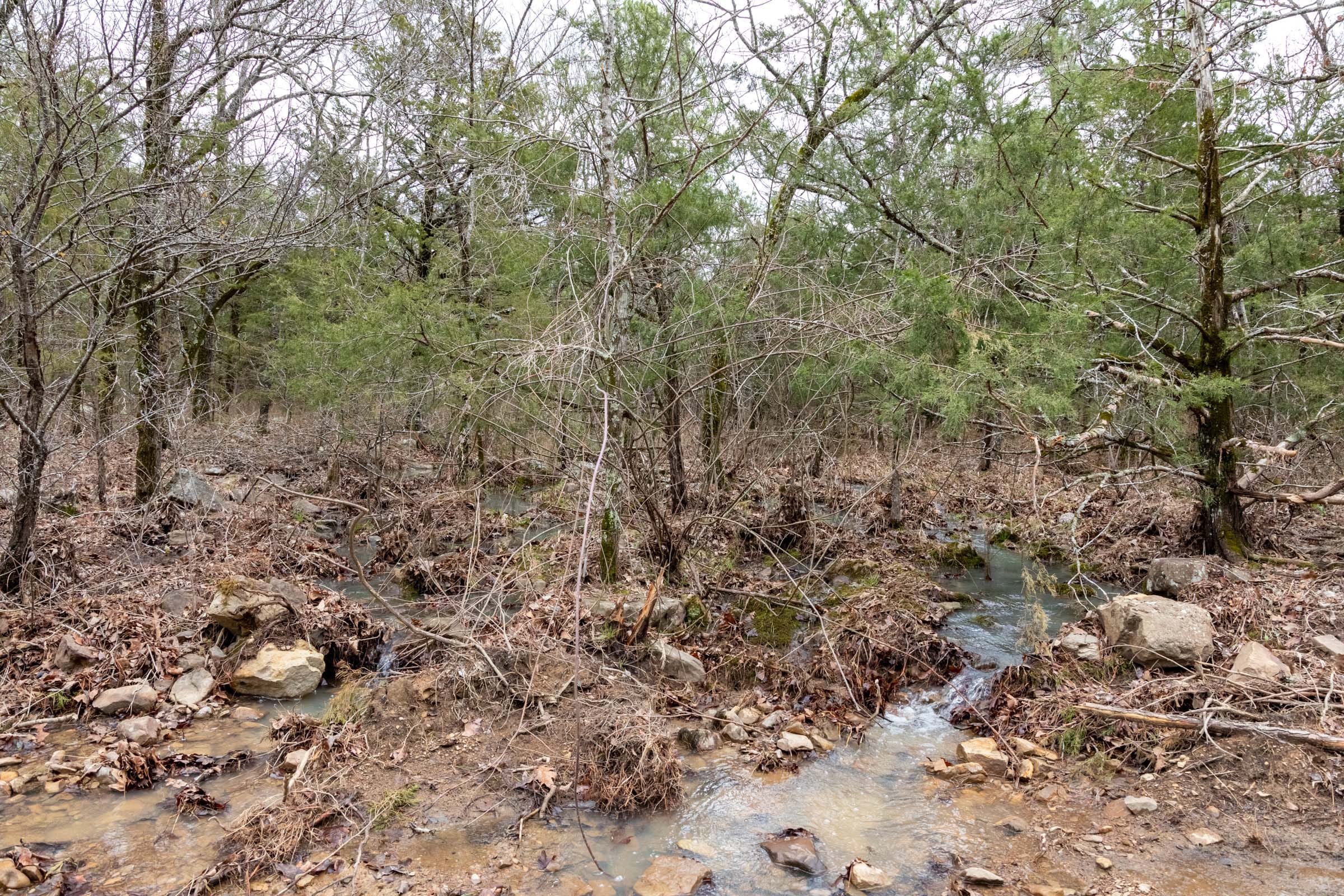 Stone Bridge Phase III Tract 208 photo 17