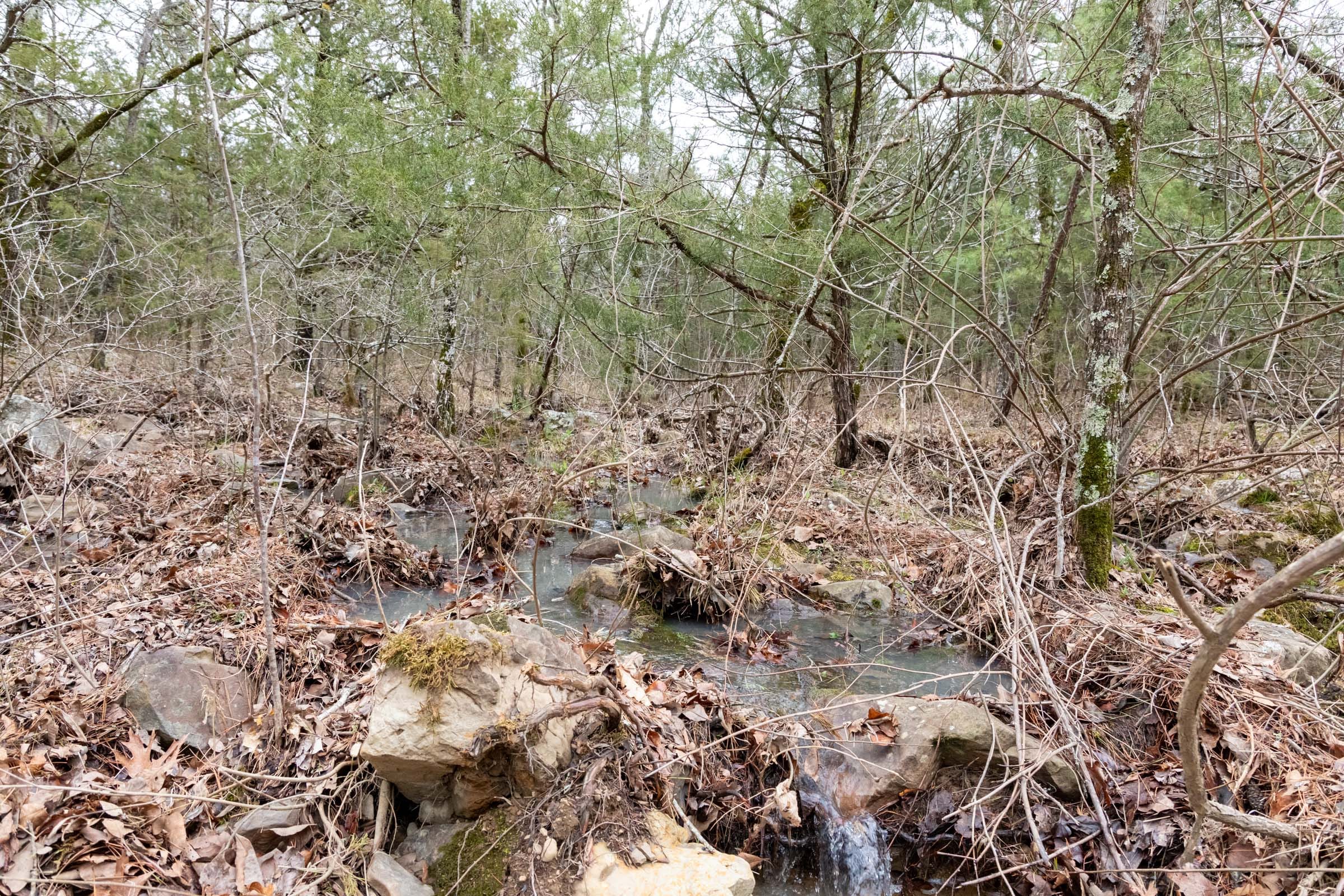 Stone Bridge Phase III Tract 208 photo 18