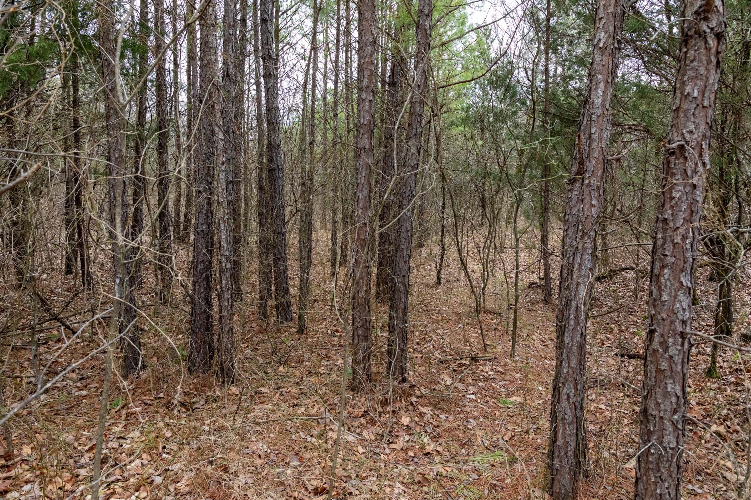 Stone Bridge Phase III Tract 208 photo 19