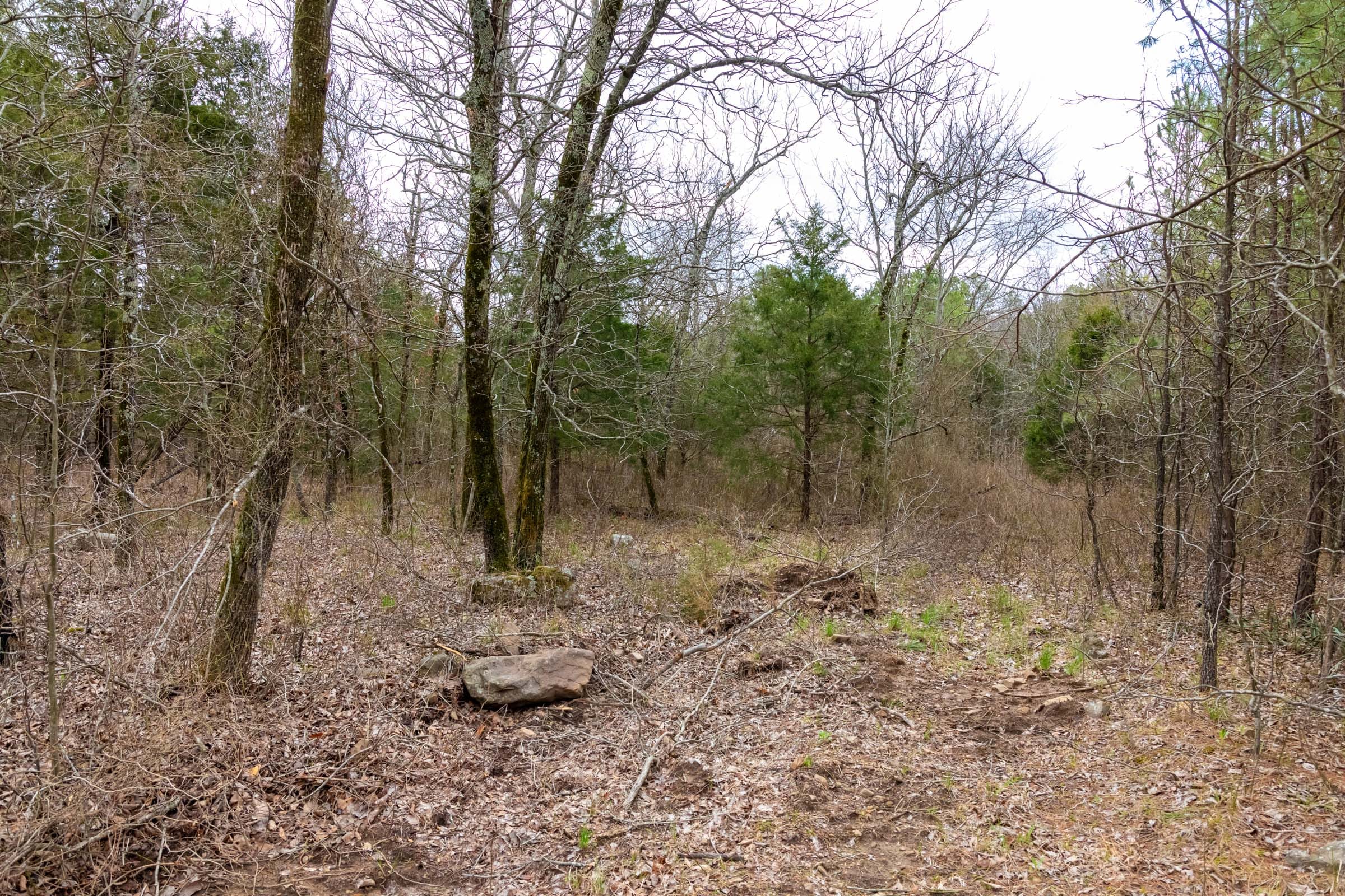 Stone Bridge Phase III Tract 208 photo 20