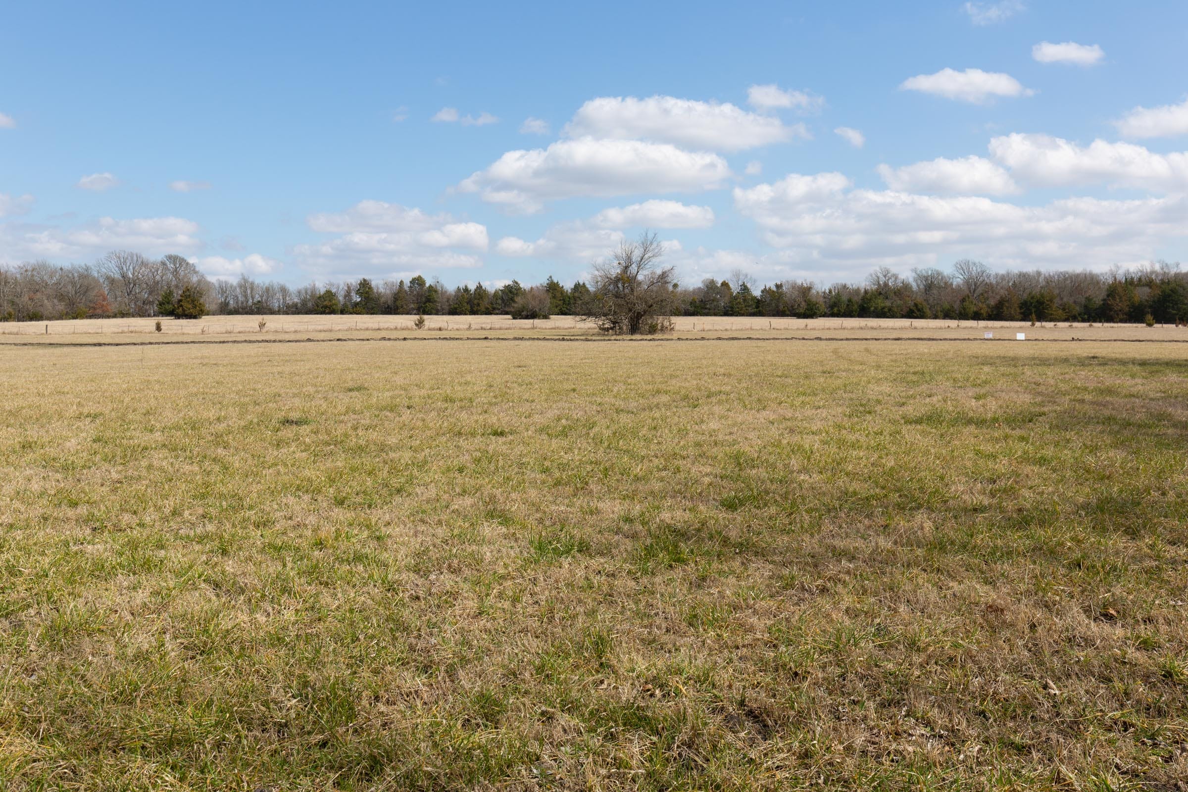 Wishing Star Ranch Tract 90 photo 4