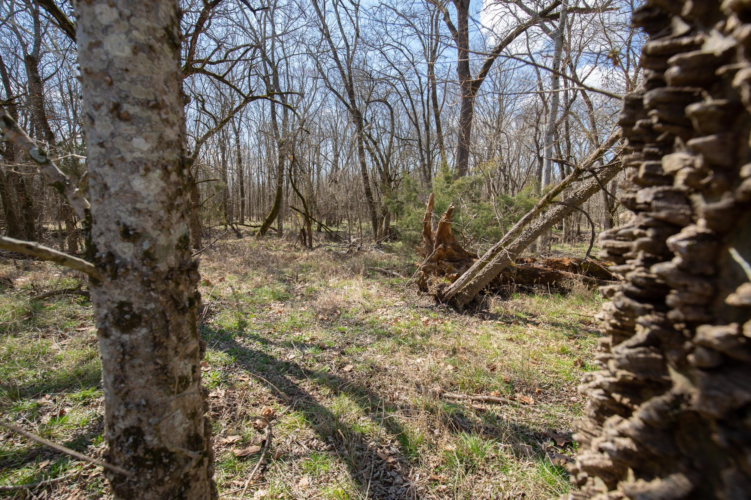 Wishing Star Ranch Tract 90 photo 6