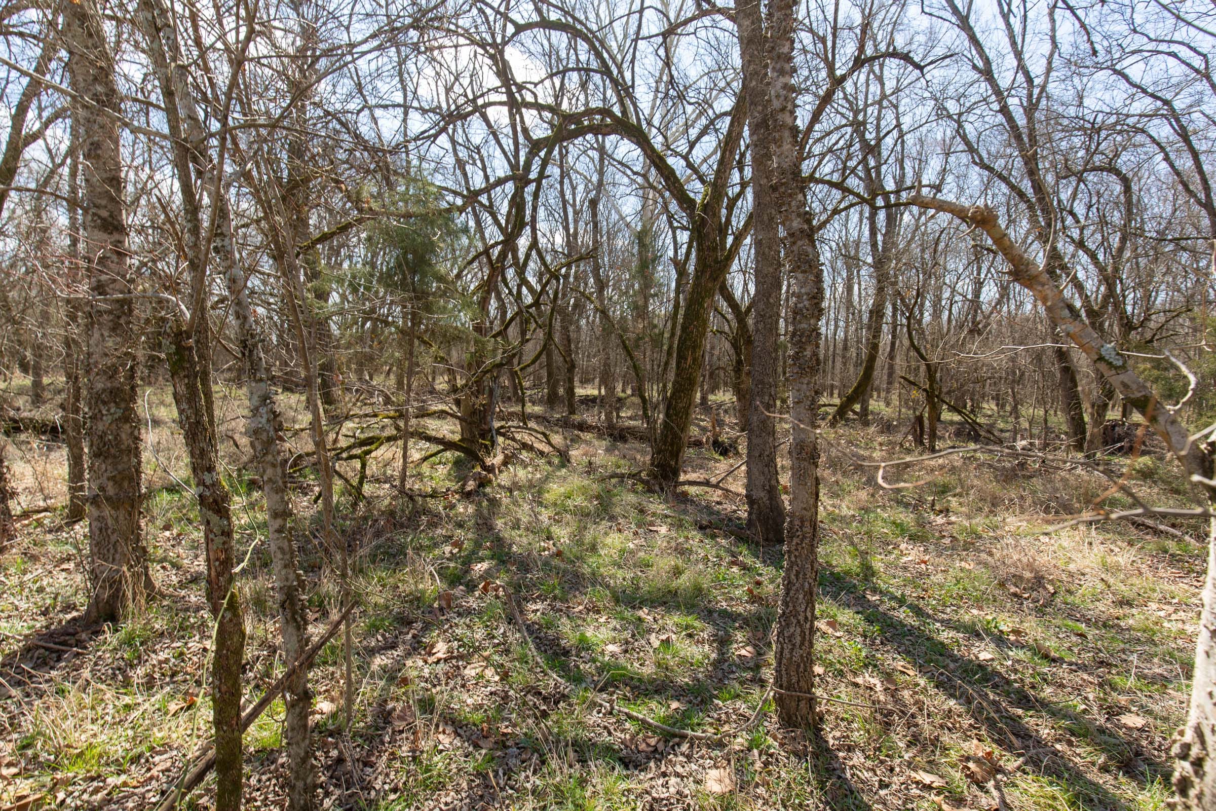 Wishing Star Ranch Tract 90 photo 7