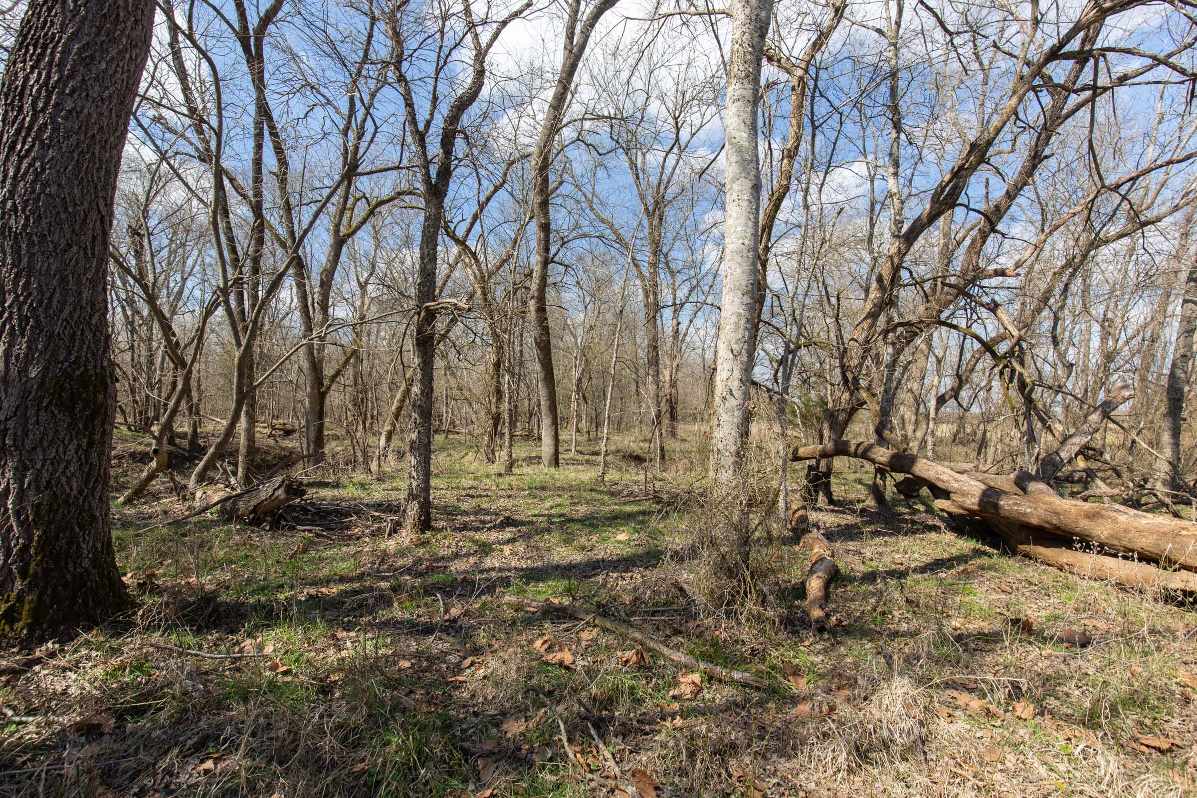 Wishing Star Ranch Tract 90 photo 8