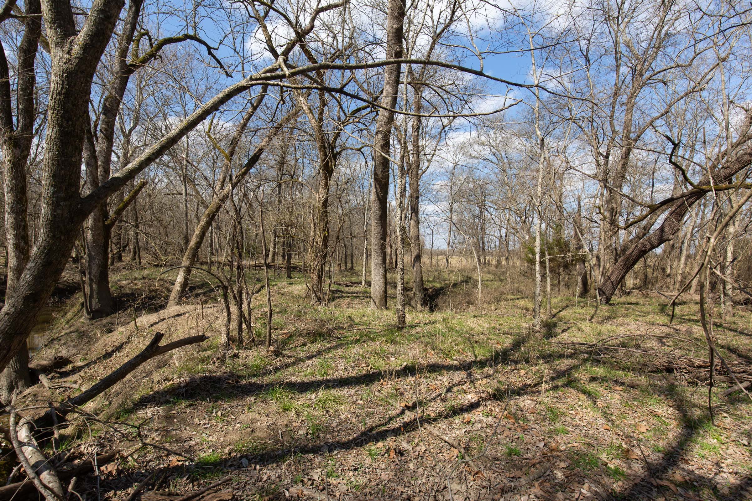 Wishing Star Ranch Tract 90 photo 12