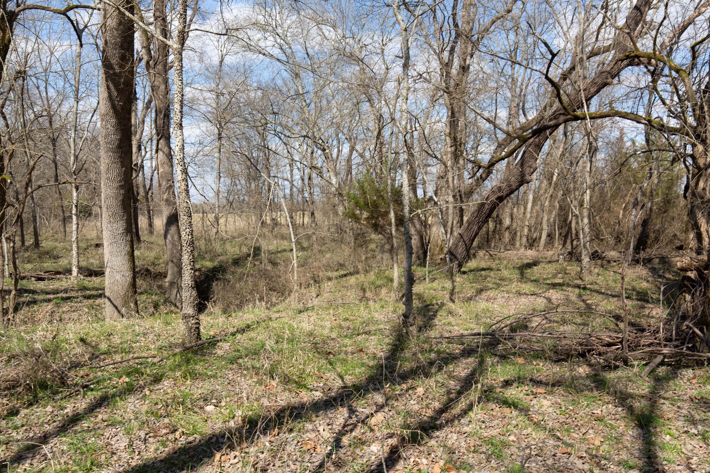 Wishing Star Ranch Tract 90 photo 14