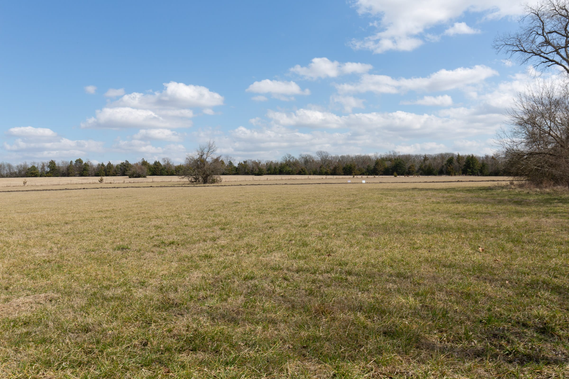 Wishing Star Ranch Tract 90 photo 15