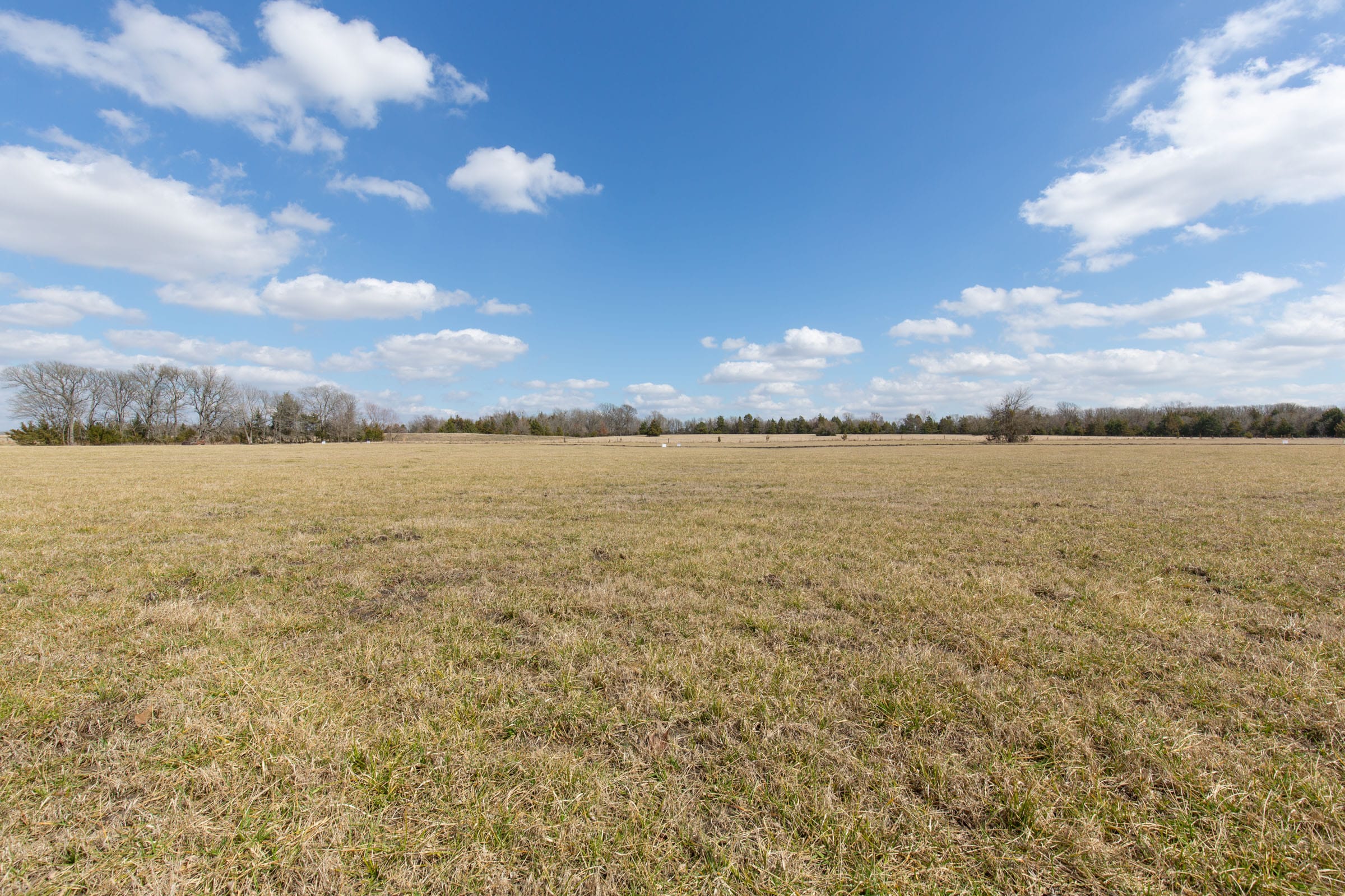 Wishing Star Ranch Tract 90 photo 16