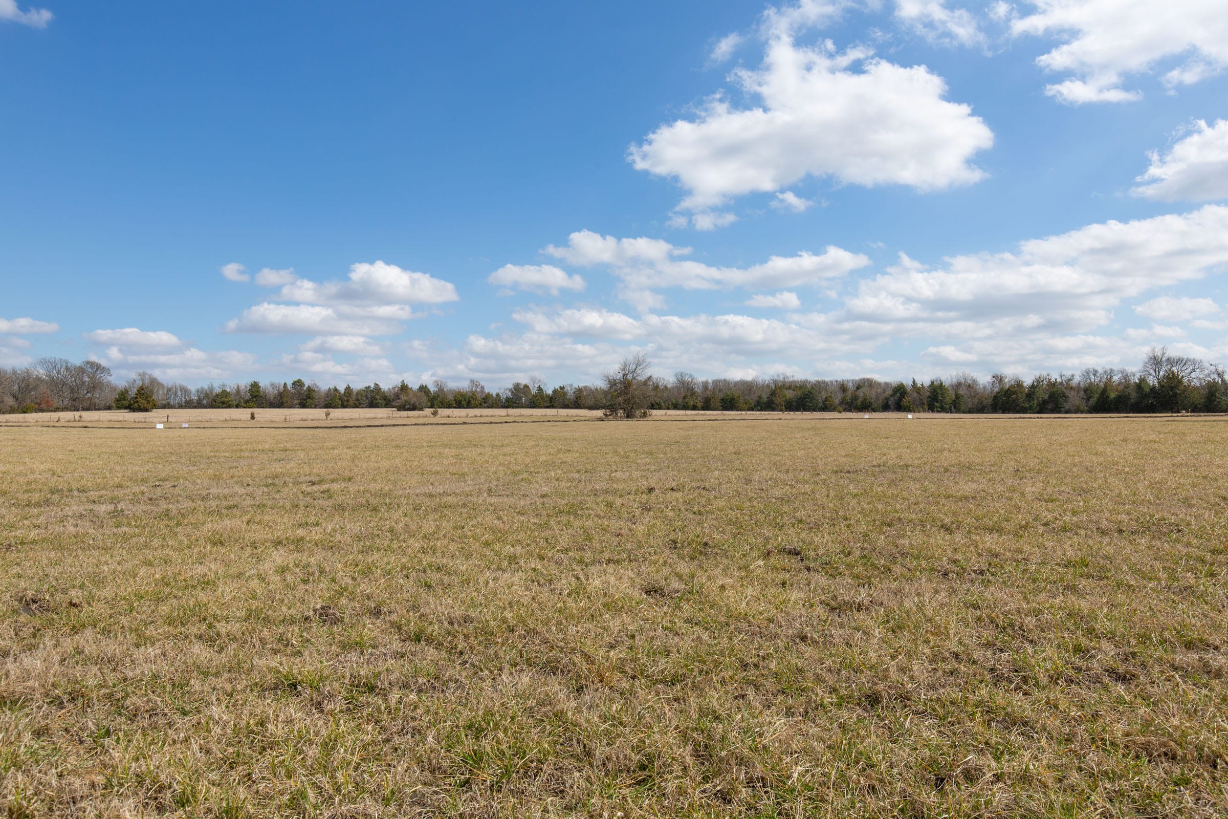 Wishing Star Ranch Tract 90 photo 17