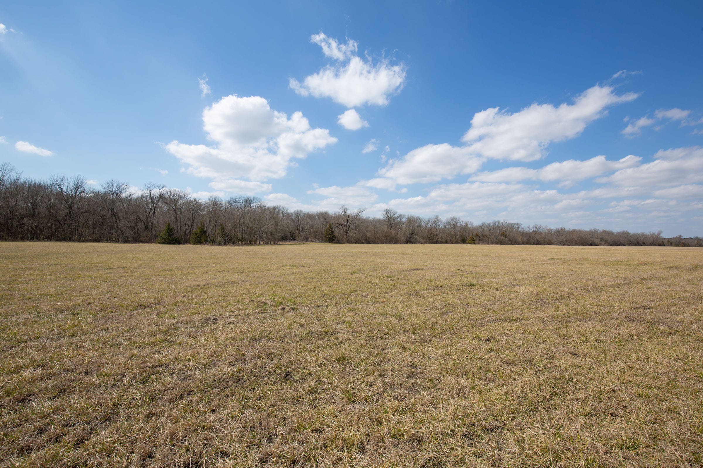 Wishing Star Ranch Tract 90 photo 19