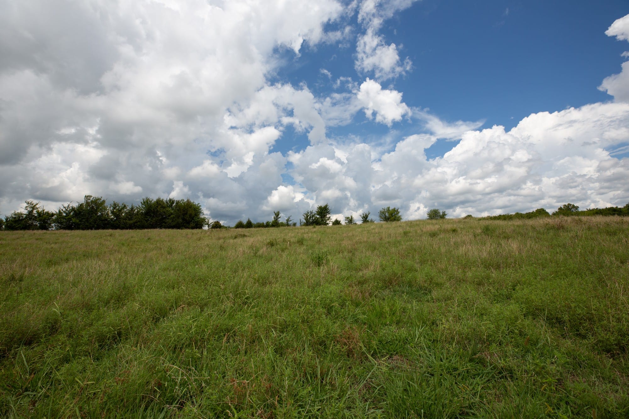 Paradise Valley Tract 1 photo 1
