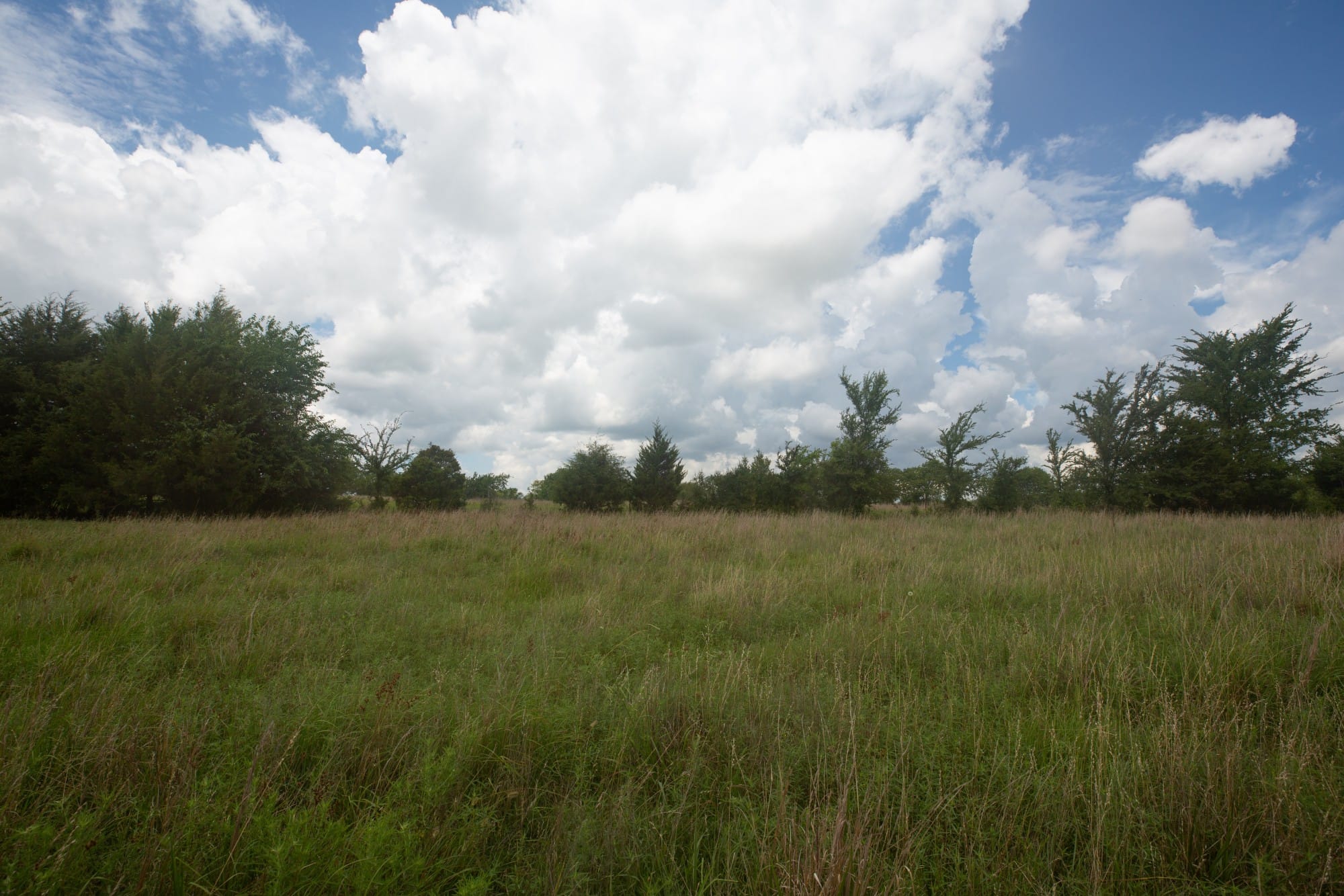Paradise Valley Tract 1 photo 2
