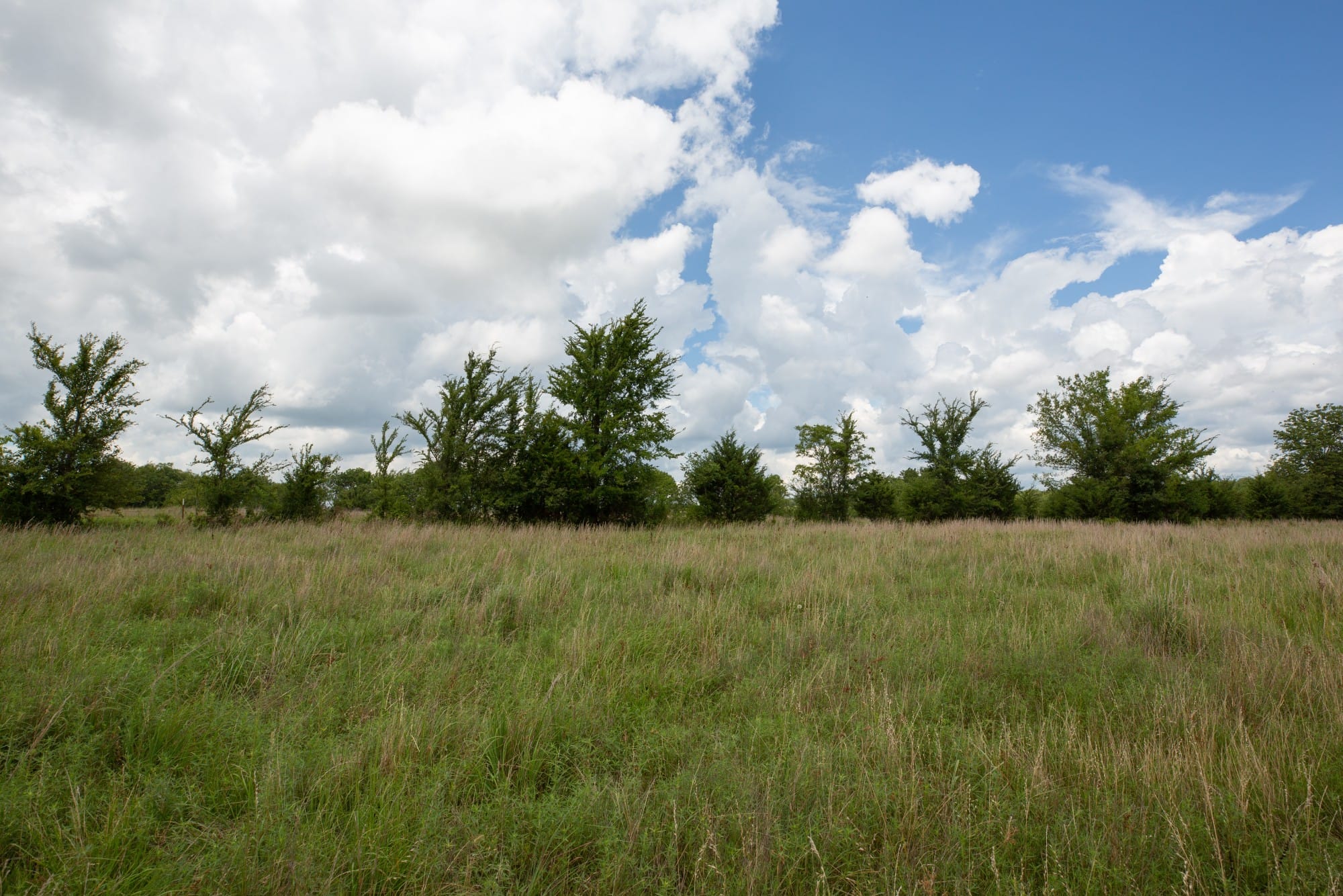 Paradise Valley Tract 1 photo 3