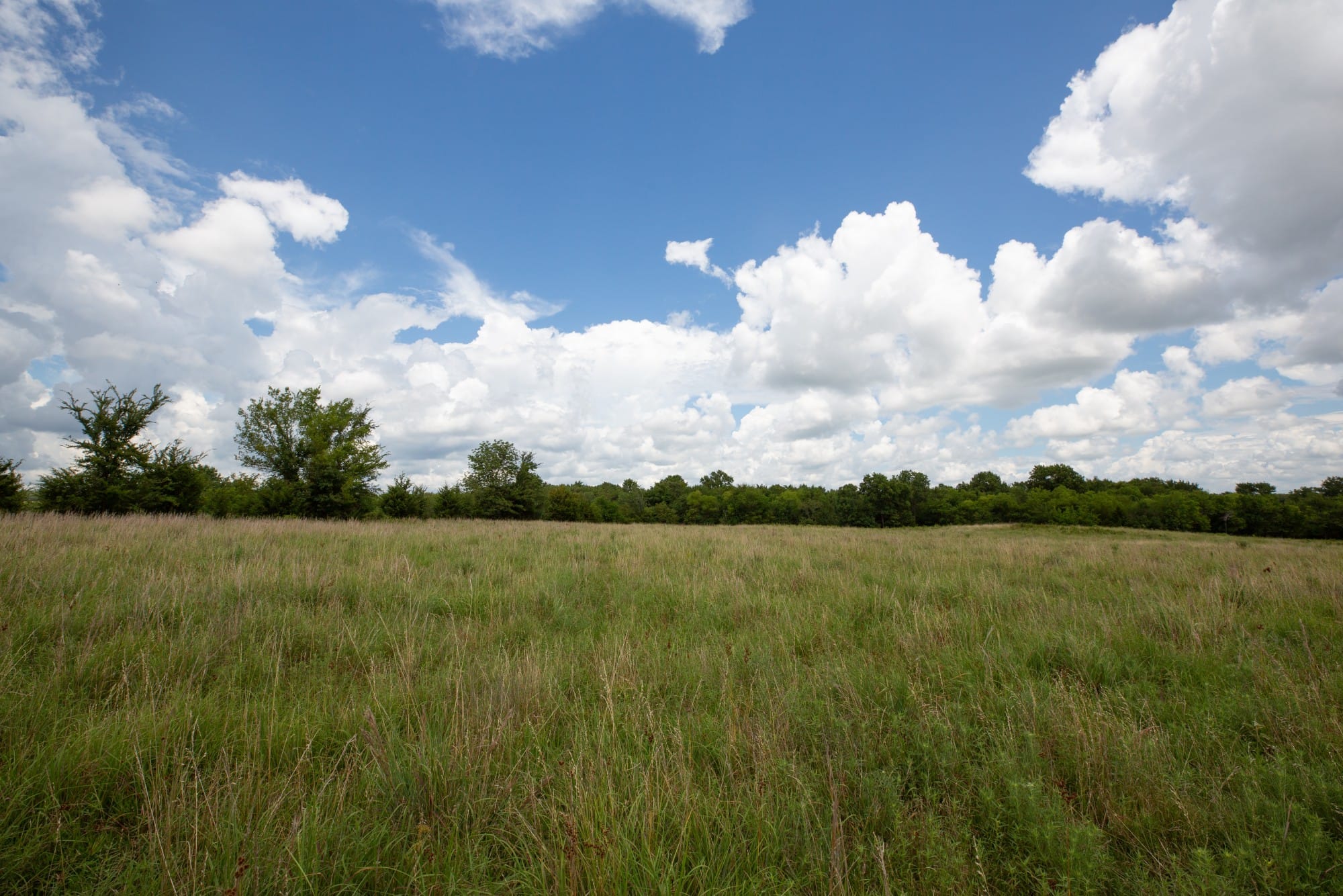 Paradise Valley Tract 1 photo 4