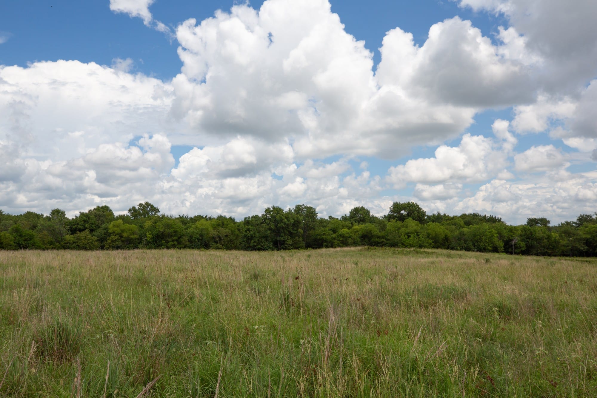 Paradise Valley Tract 1 photo 5