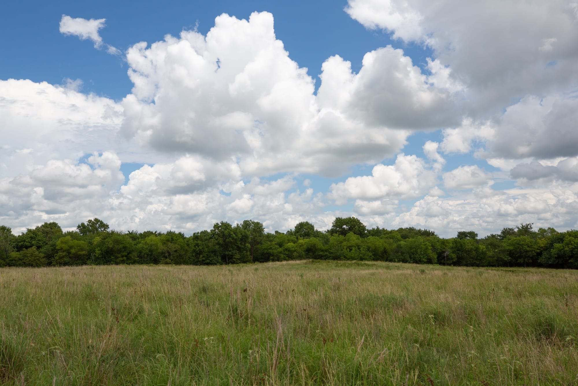 Paradise Valley Tract 1 photo 6