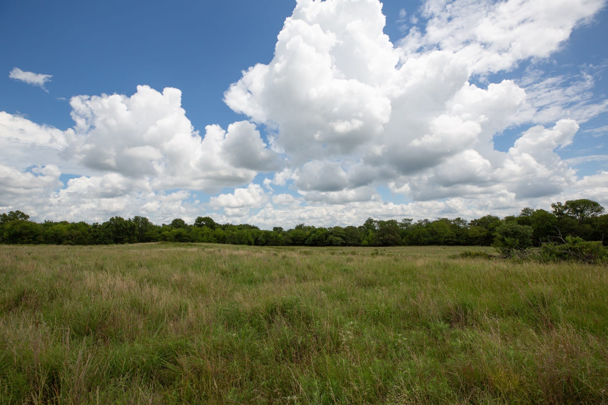Paradise Valley Tract 1 photo 7
