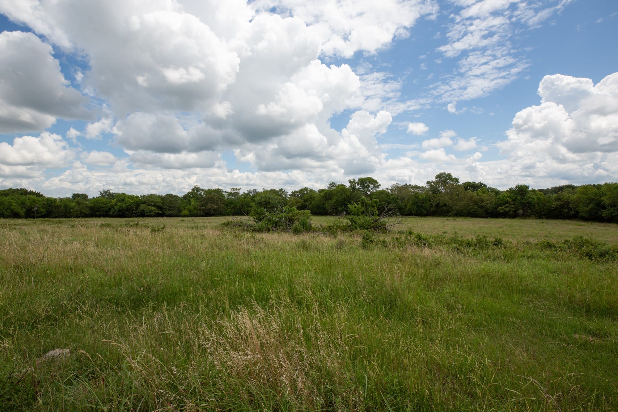 Paradise Valley Tract 1 photo 8
