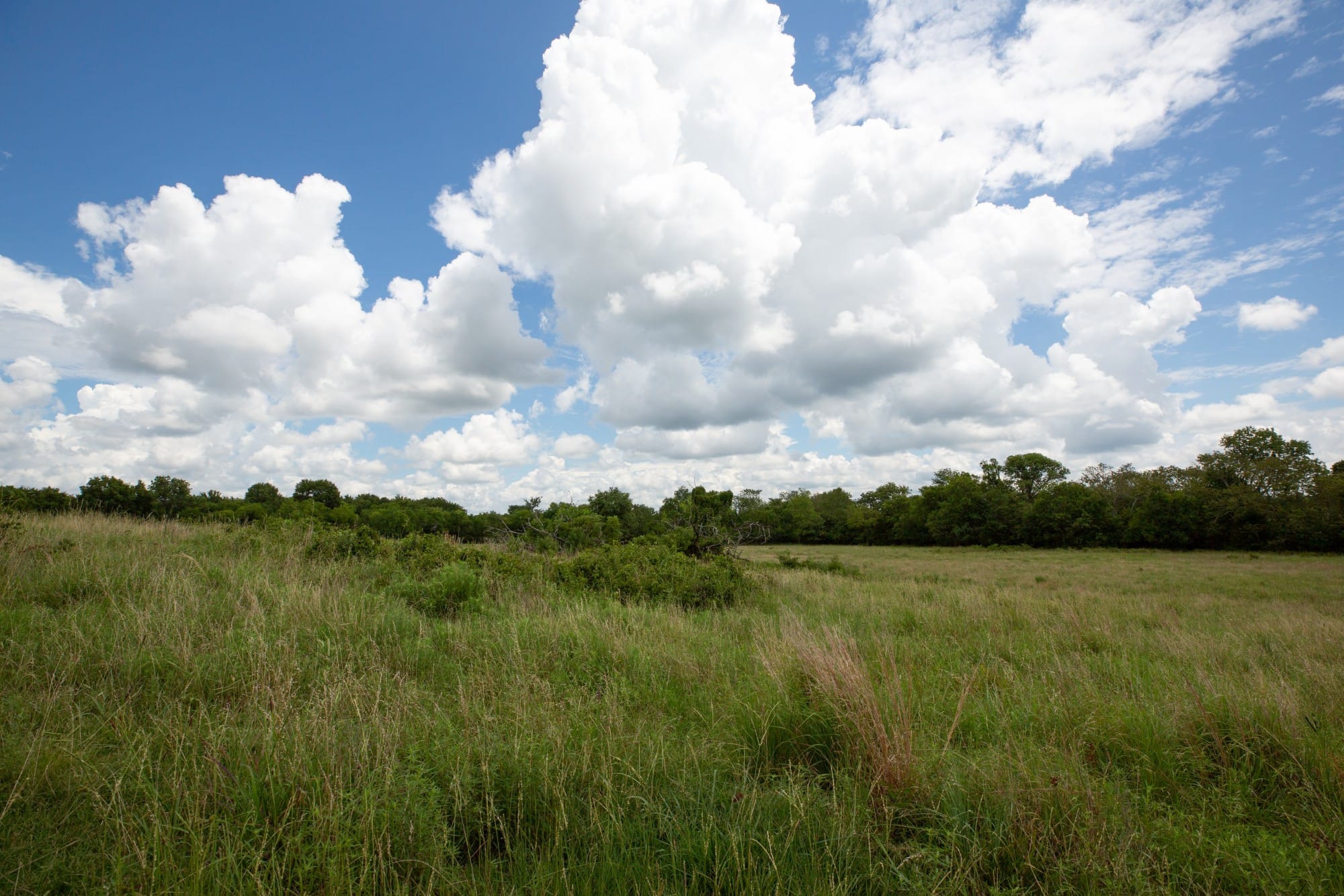 Paradise Valley Tract 1 photo 10