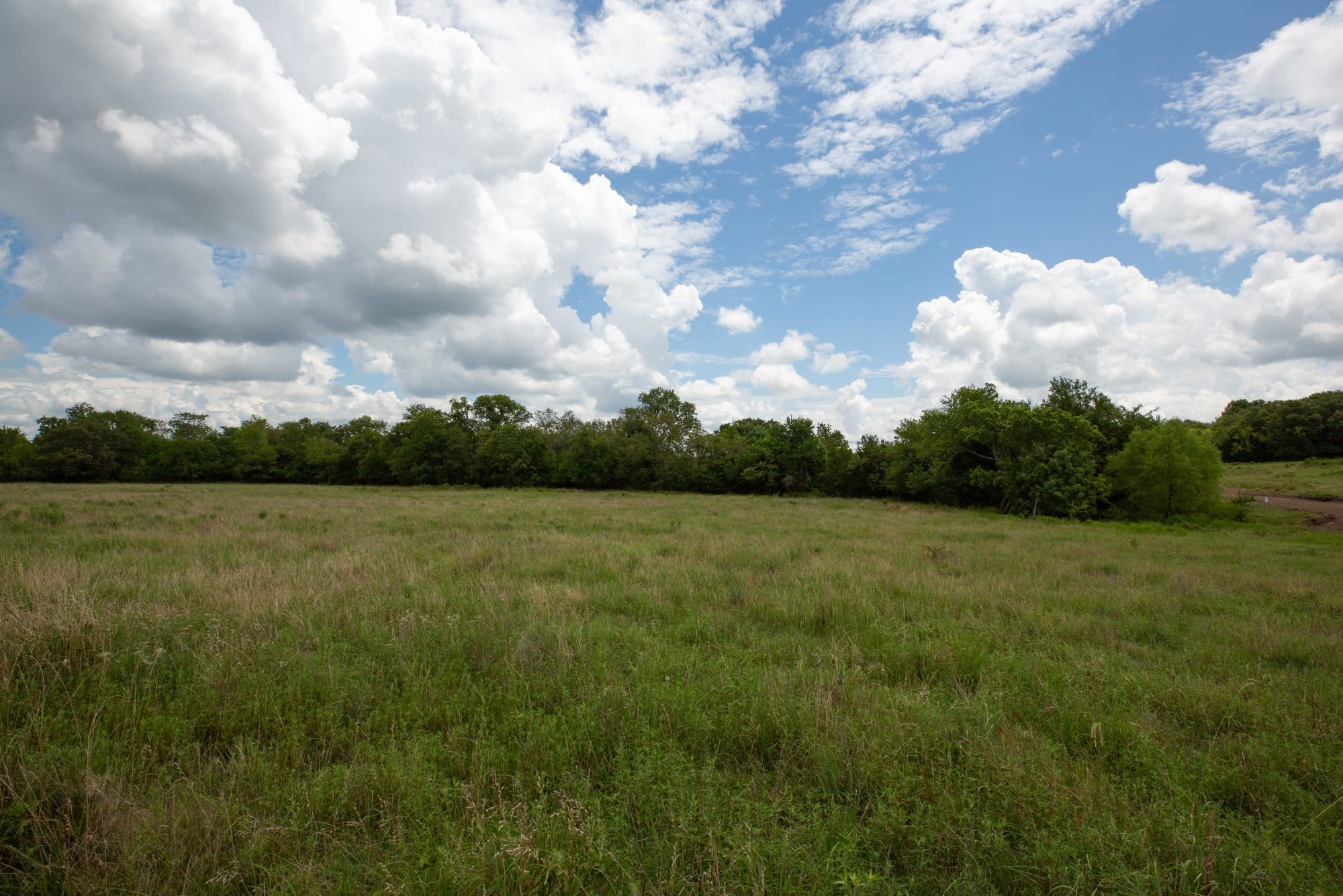 Paradise Valley Tract 1 photo 11