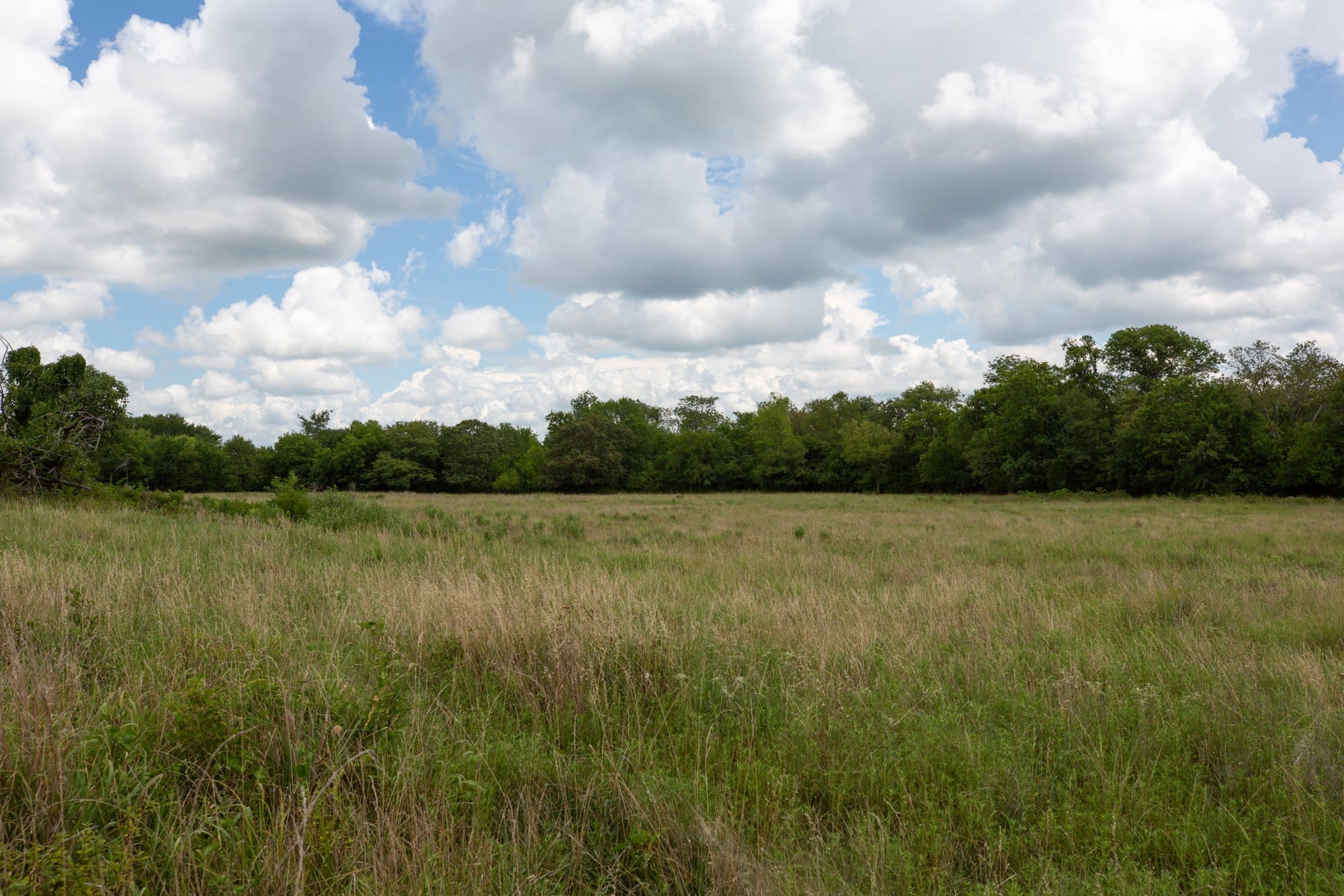 Paradise Valley Tract 1 photo 12
