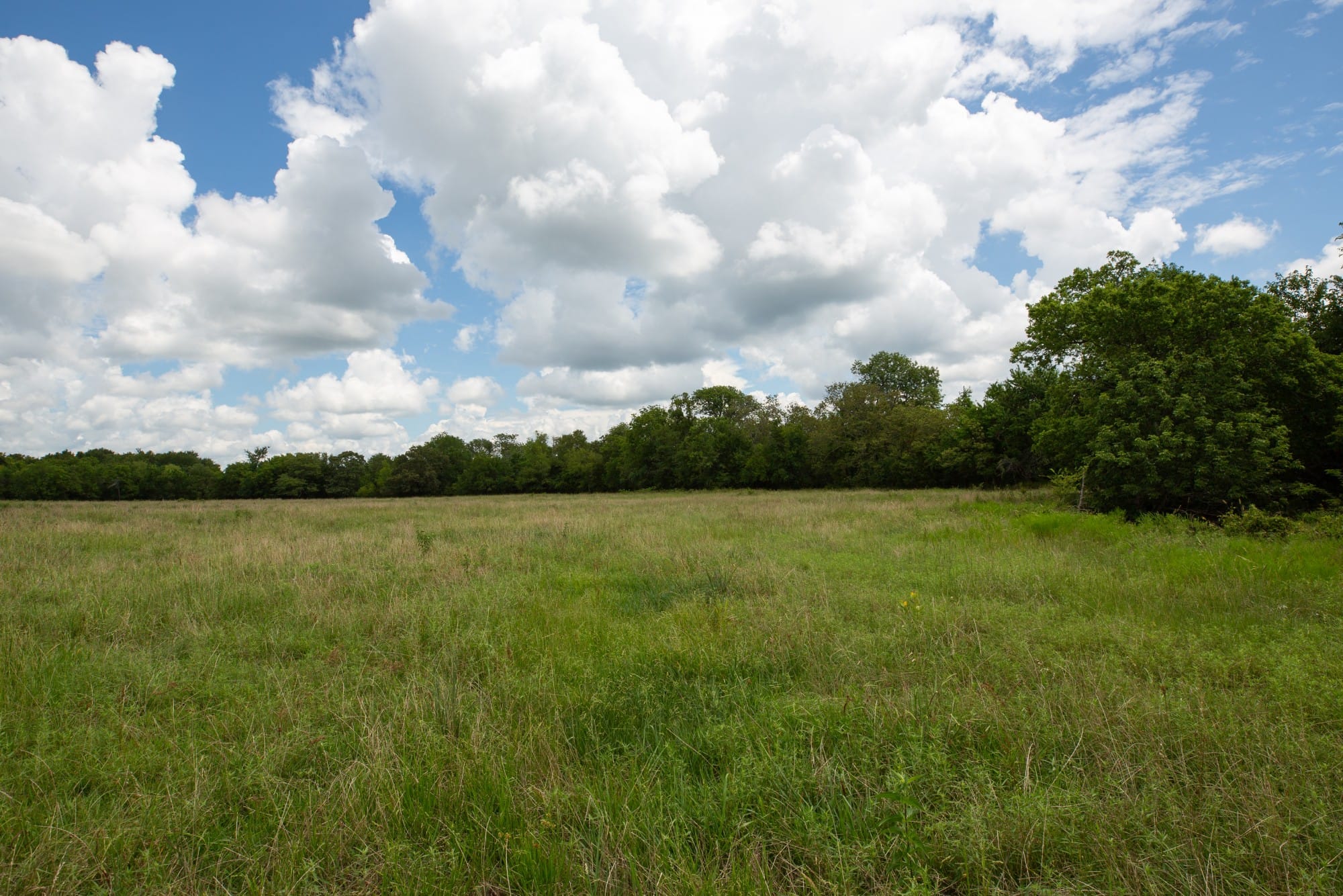 Paradise Valley Tract 1 photo 13