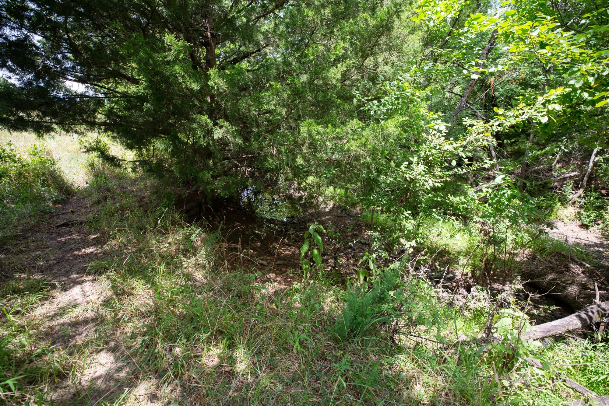 Paradise Valley Tract 1 photo 14