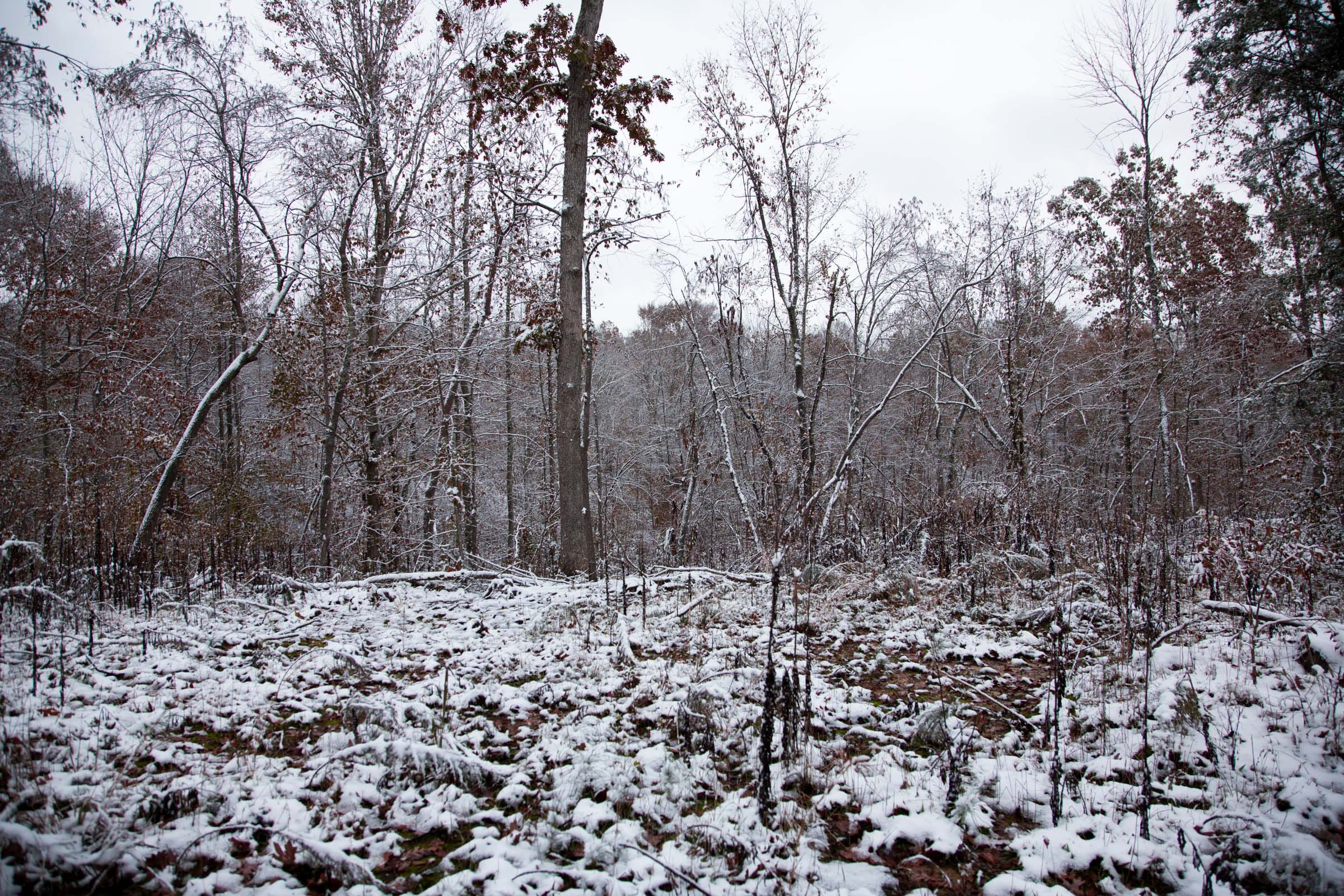 Sweet Water Ranch Tract 8 photo 1