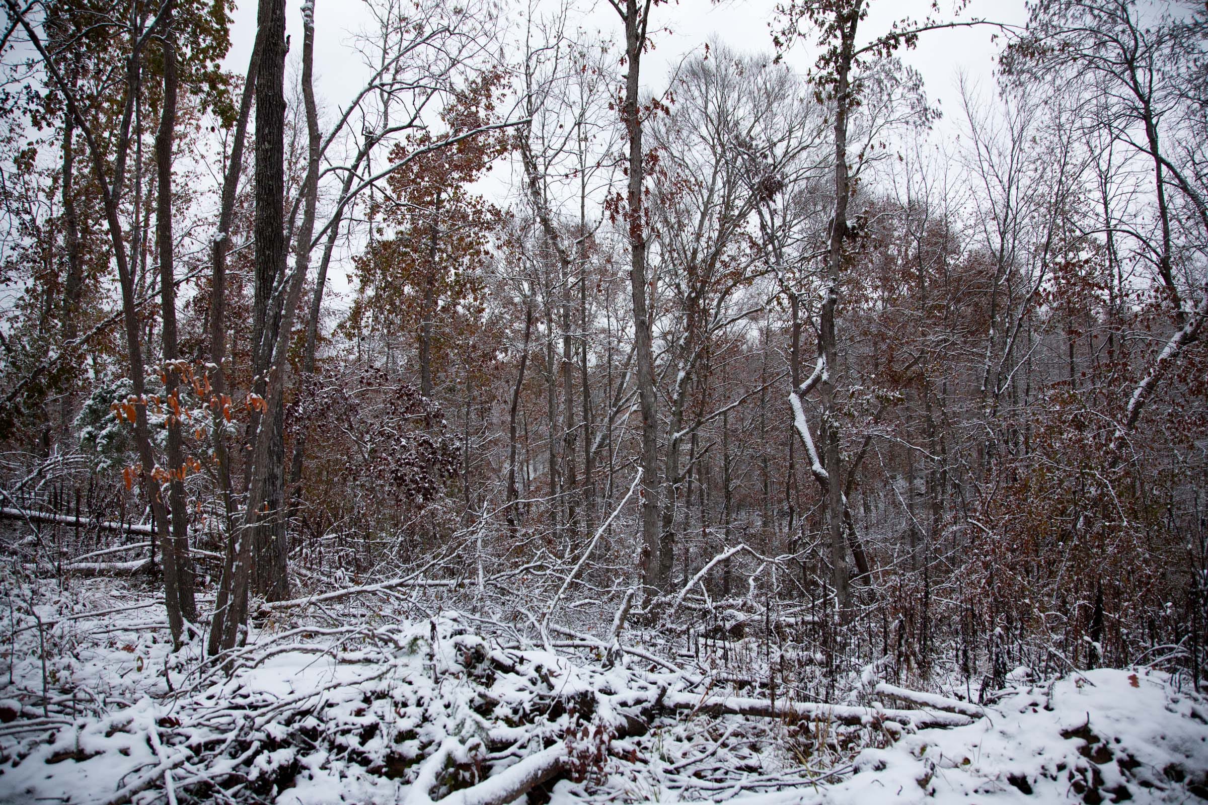 Sweet Water Ranch Tract 8 photo 2