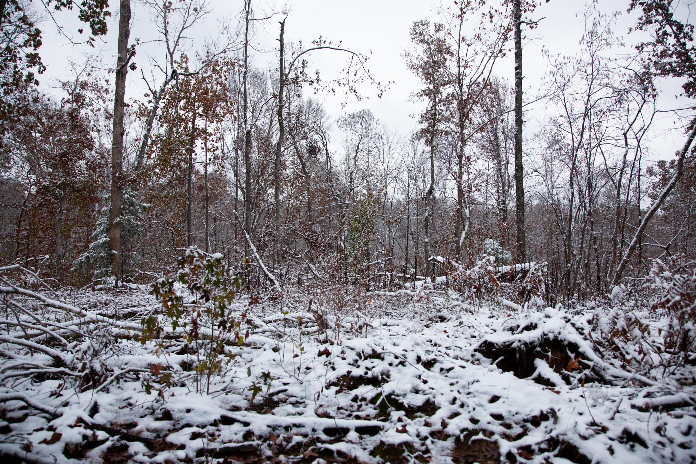 Sweet Water Ranch Tract 8 photo 4