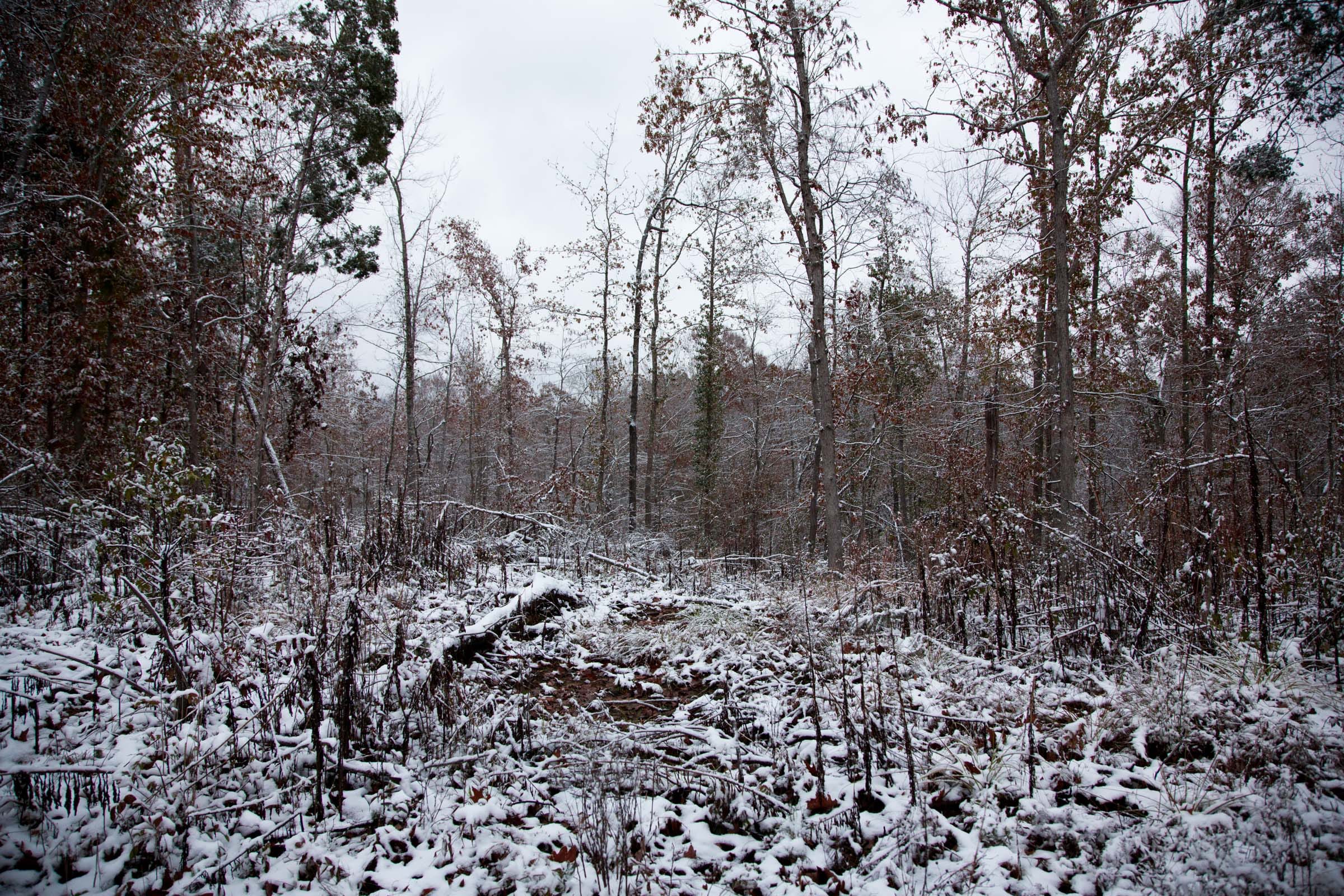 Sweet Water Ranch Tract 8 photo 5